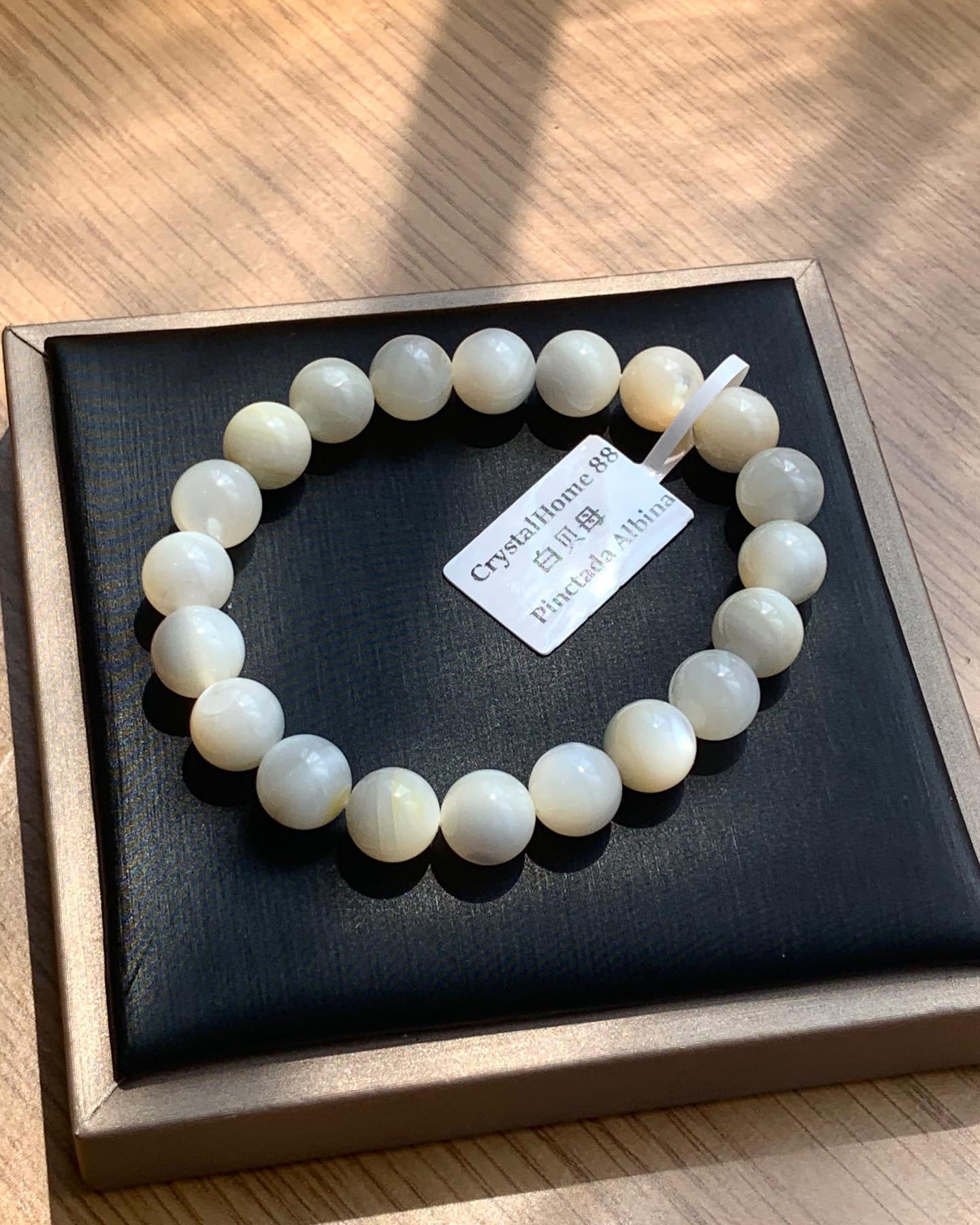 白贝母 Pinctada Albina