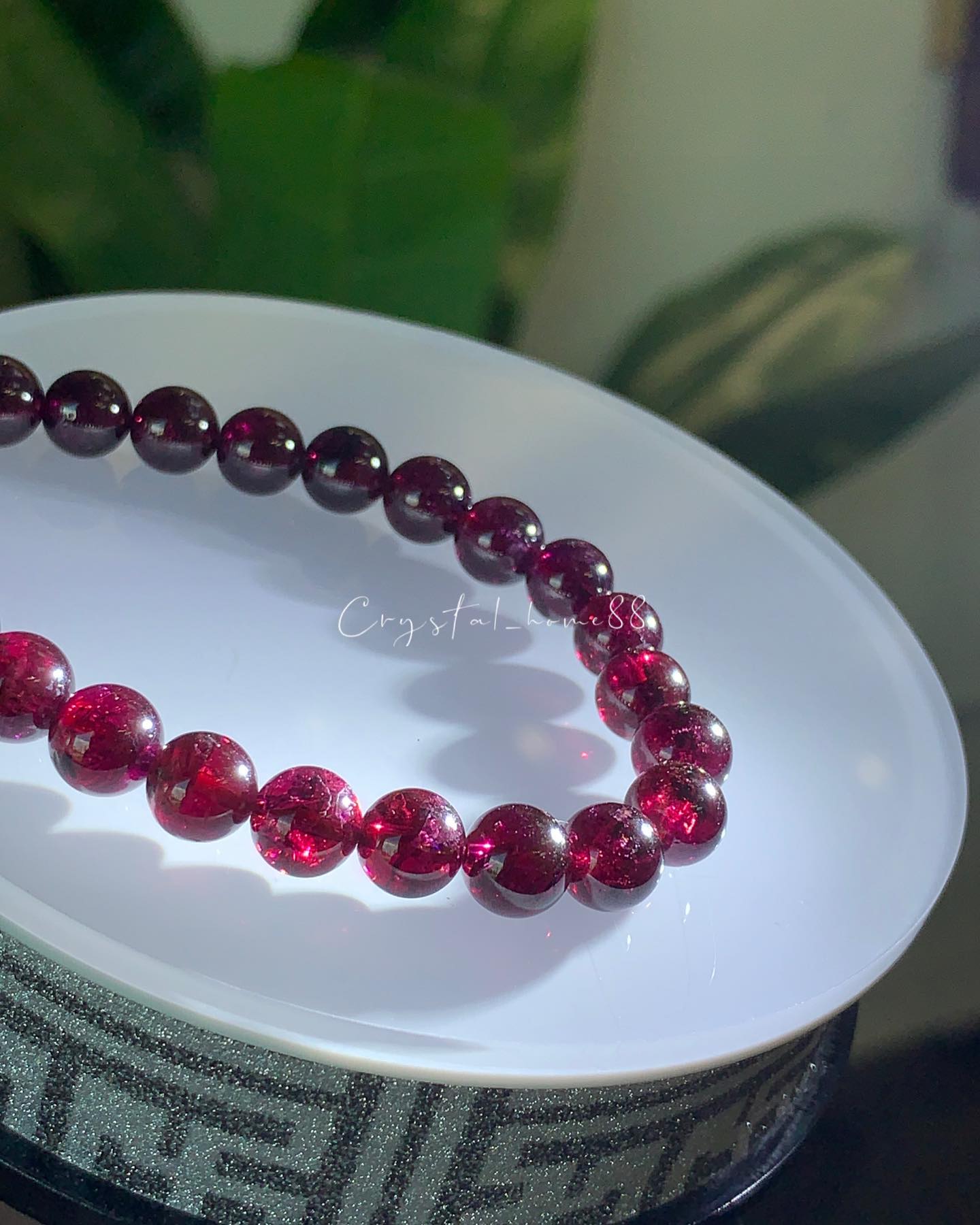高品紫牙乌 Garnet(G12)
