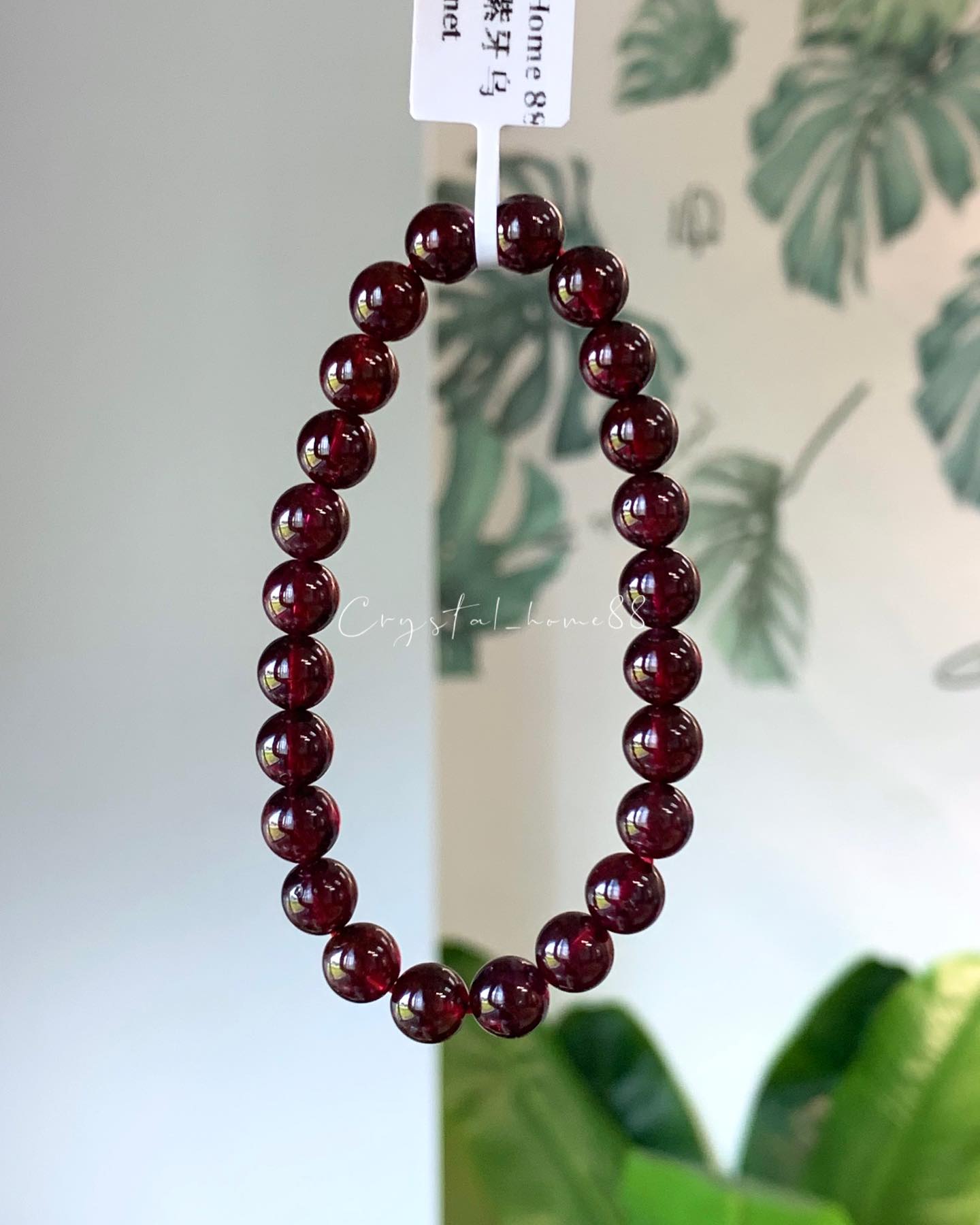 高品紫牙乌 Garnet(G12)