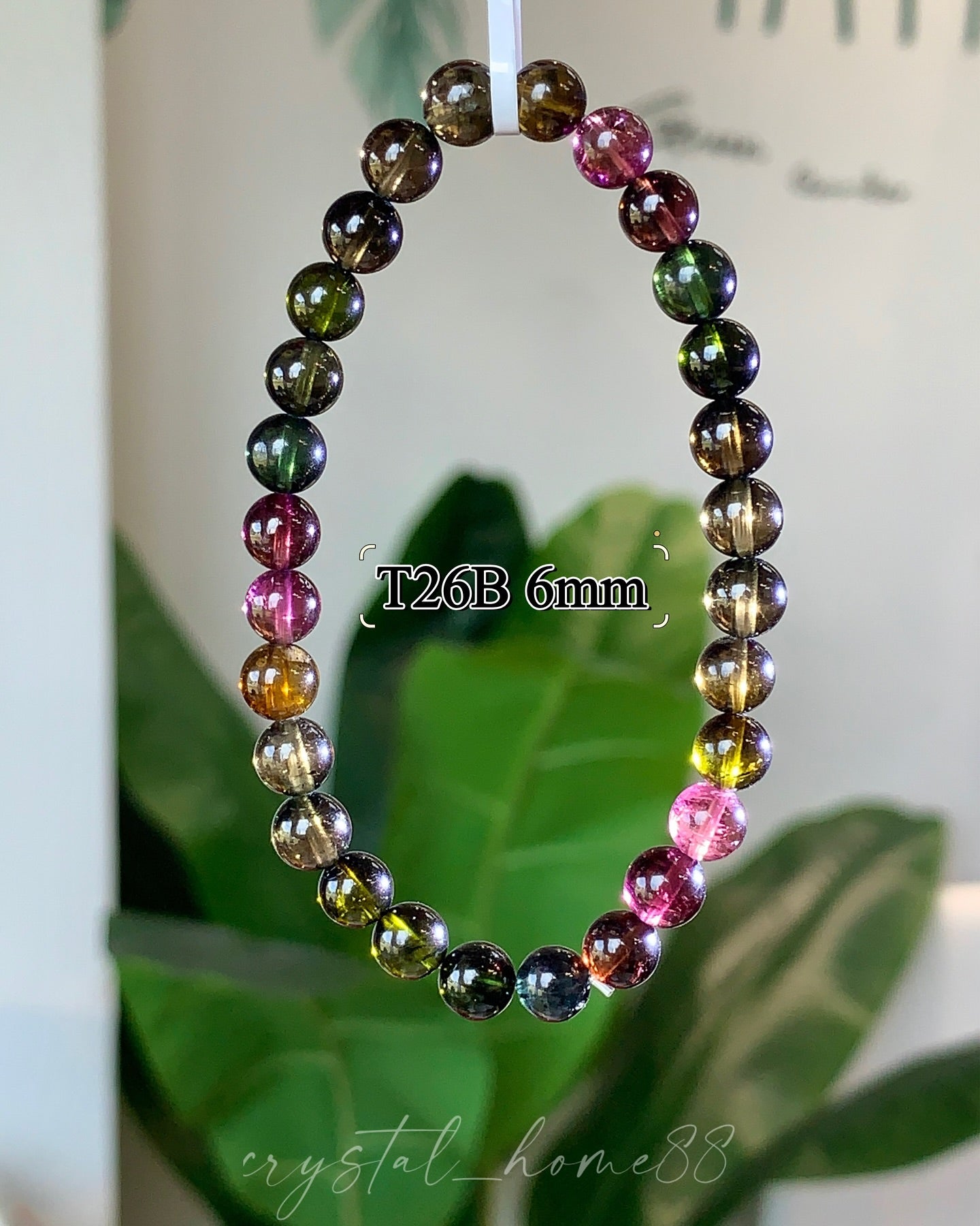 黑美人碧玺 Tourmaline(T26)
