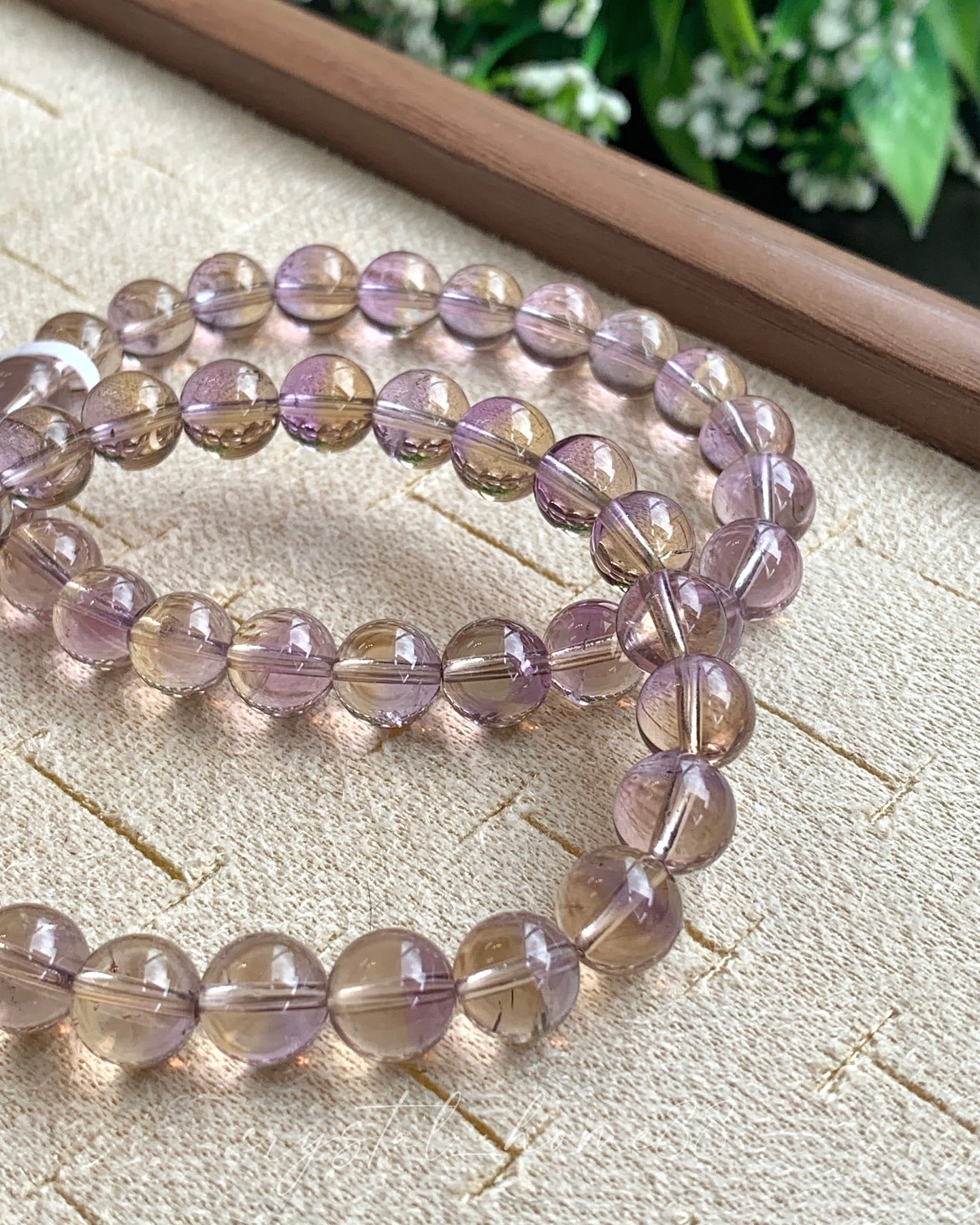 聚宝盆紫黄晶 · 共生矿 Ametrine(A44)