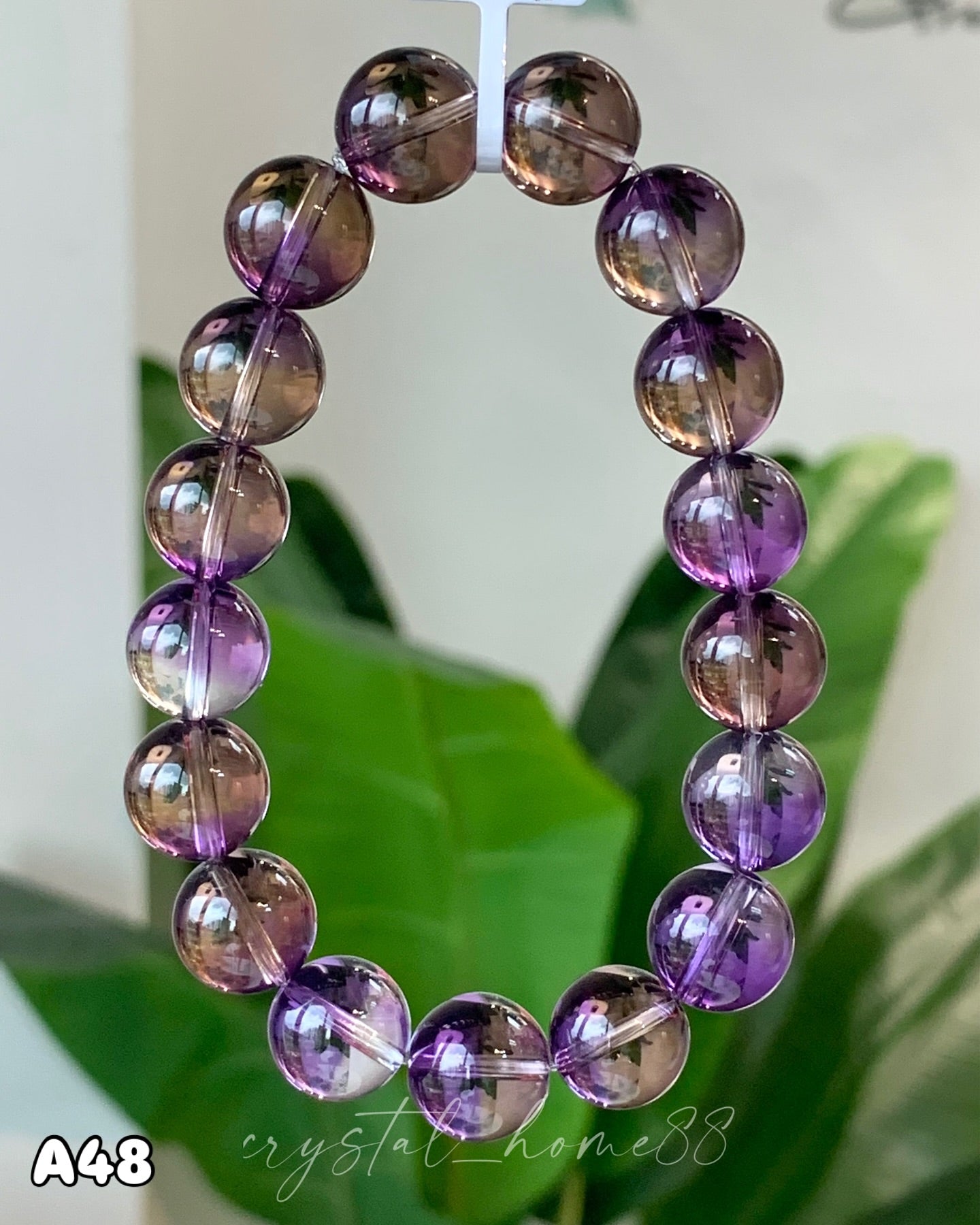 收藏级紫黄晶 · 共生矿 Ametrine(A48)
