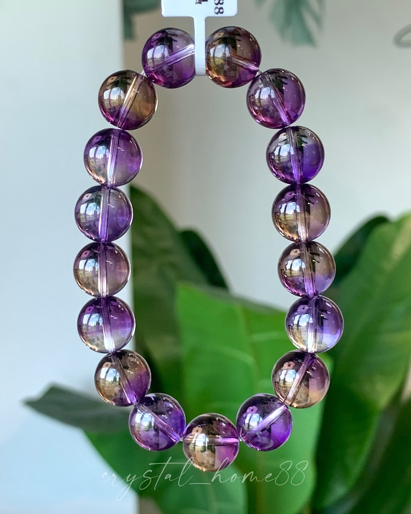 收藏级紫黄晶 · 共生矿 Ametrine(A49)