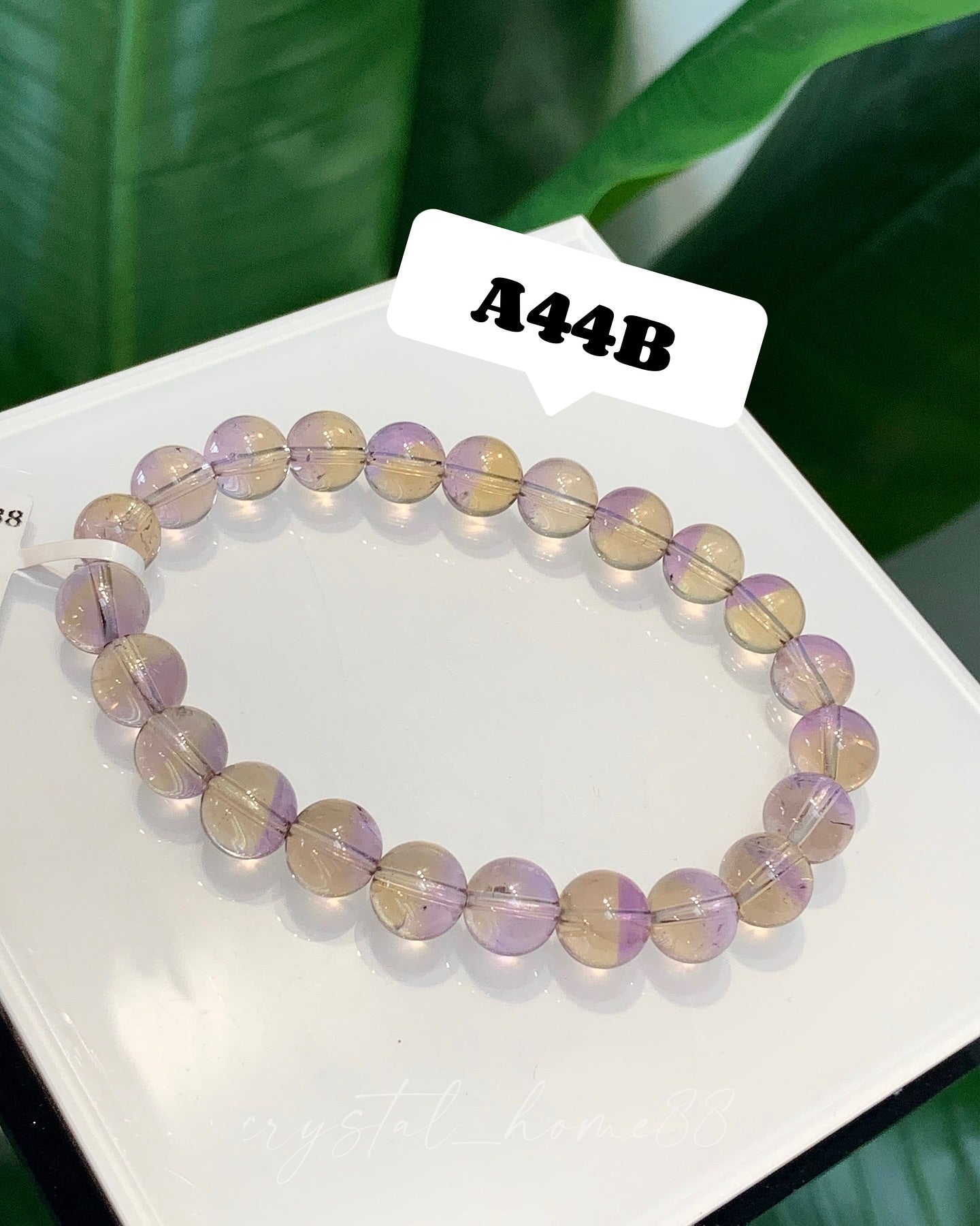 聚宝盆紫黄晶 · 共生矿 Ametrine(A44)