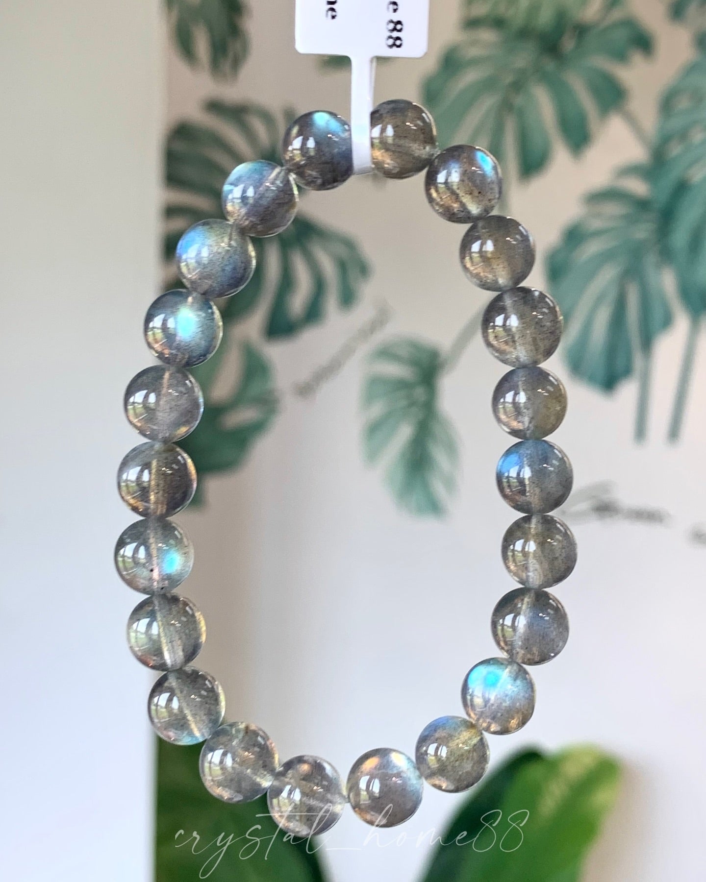 灰月光 Moonstone(M23)