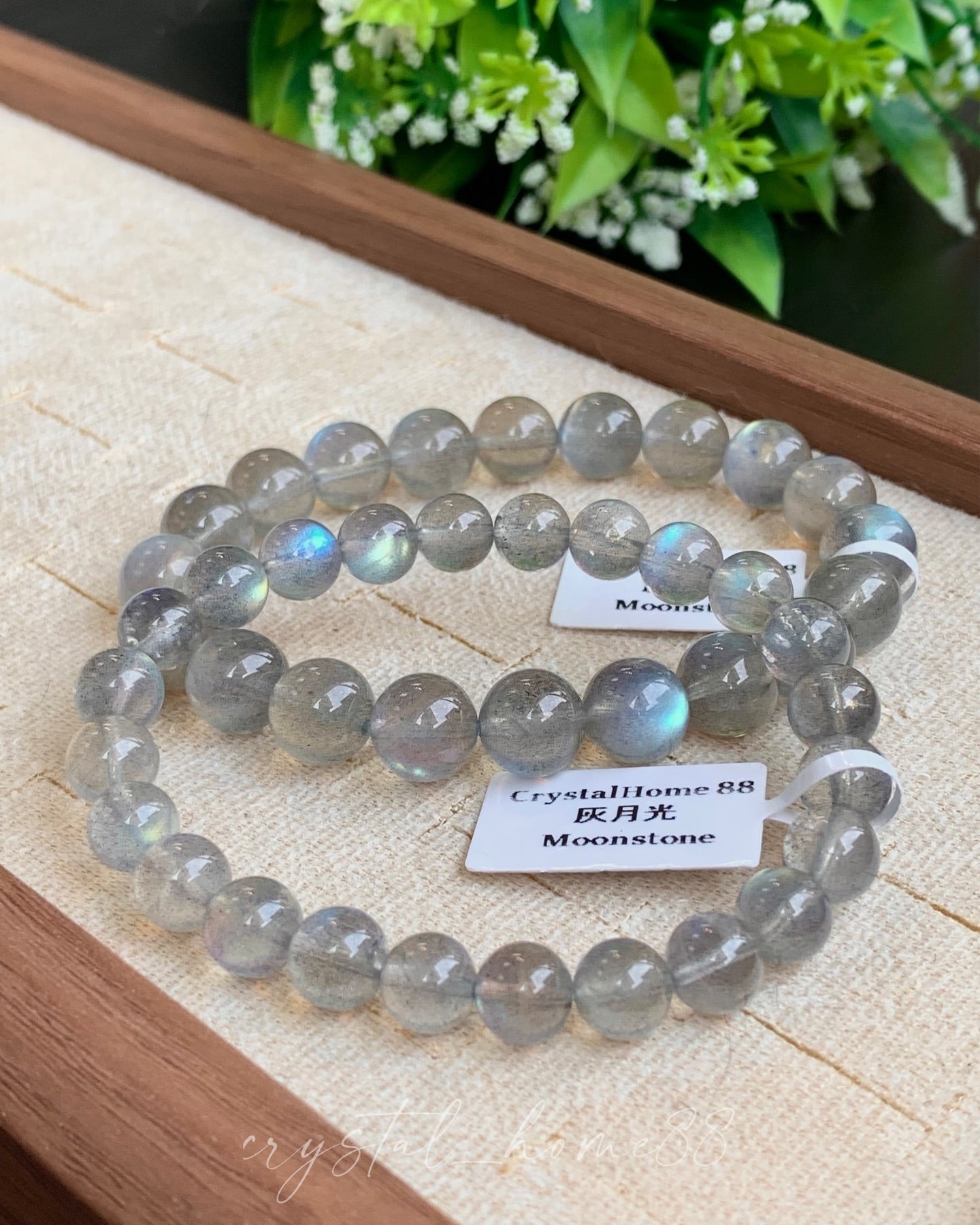 灰月光 Moonstone(M23)