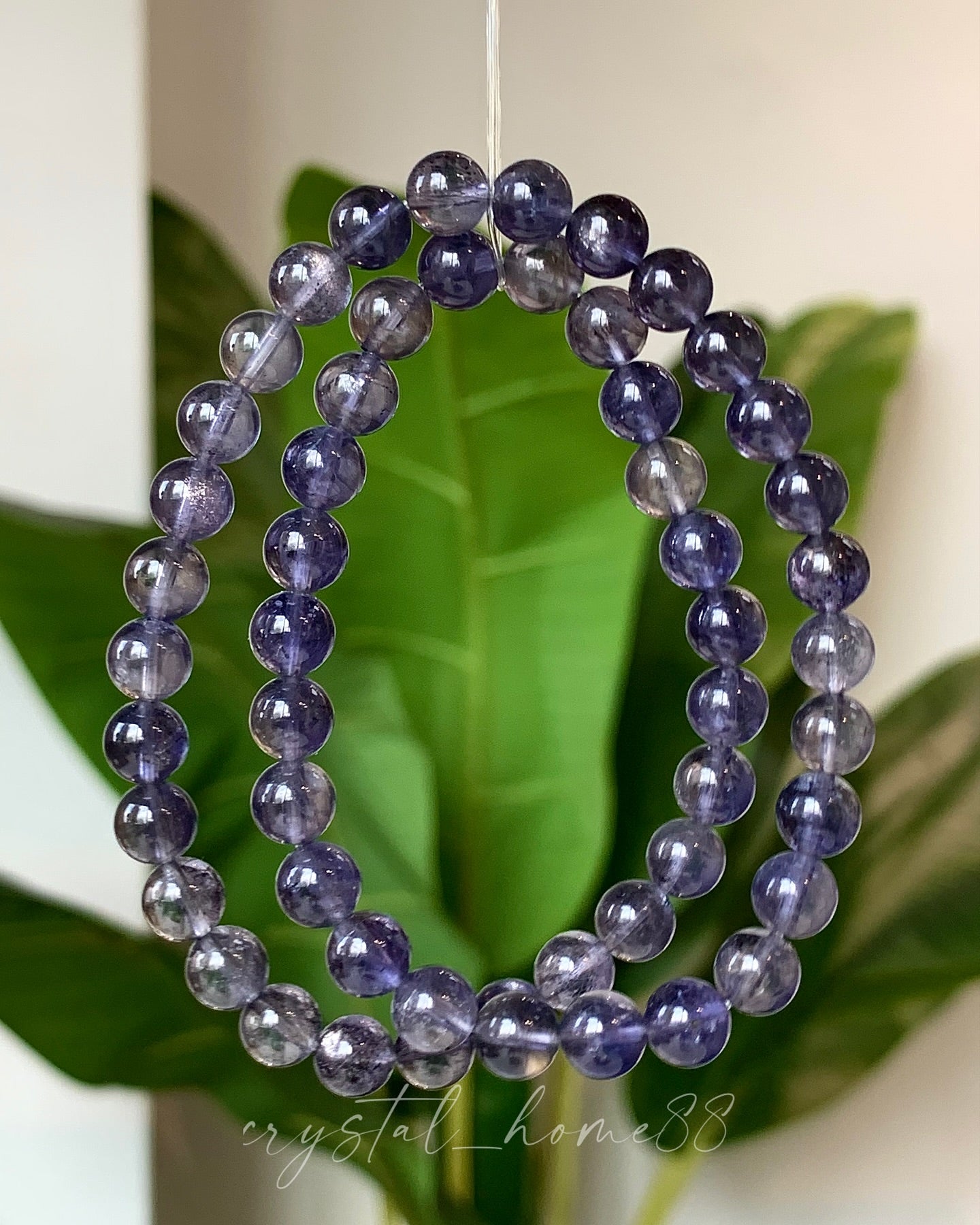 堇青石两圈 Iolite/Cordierite