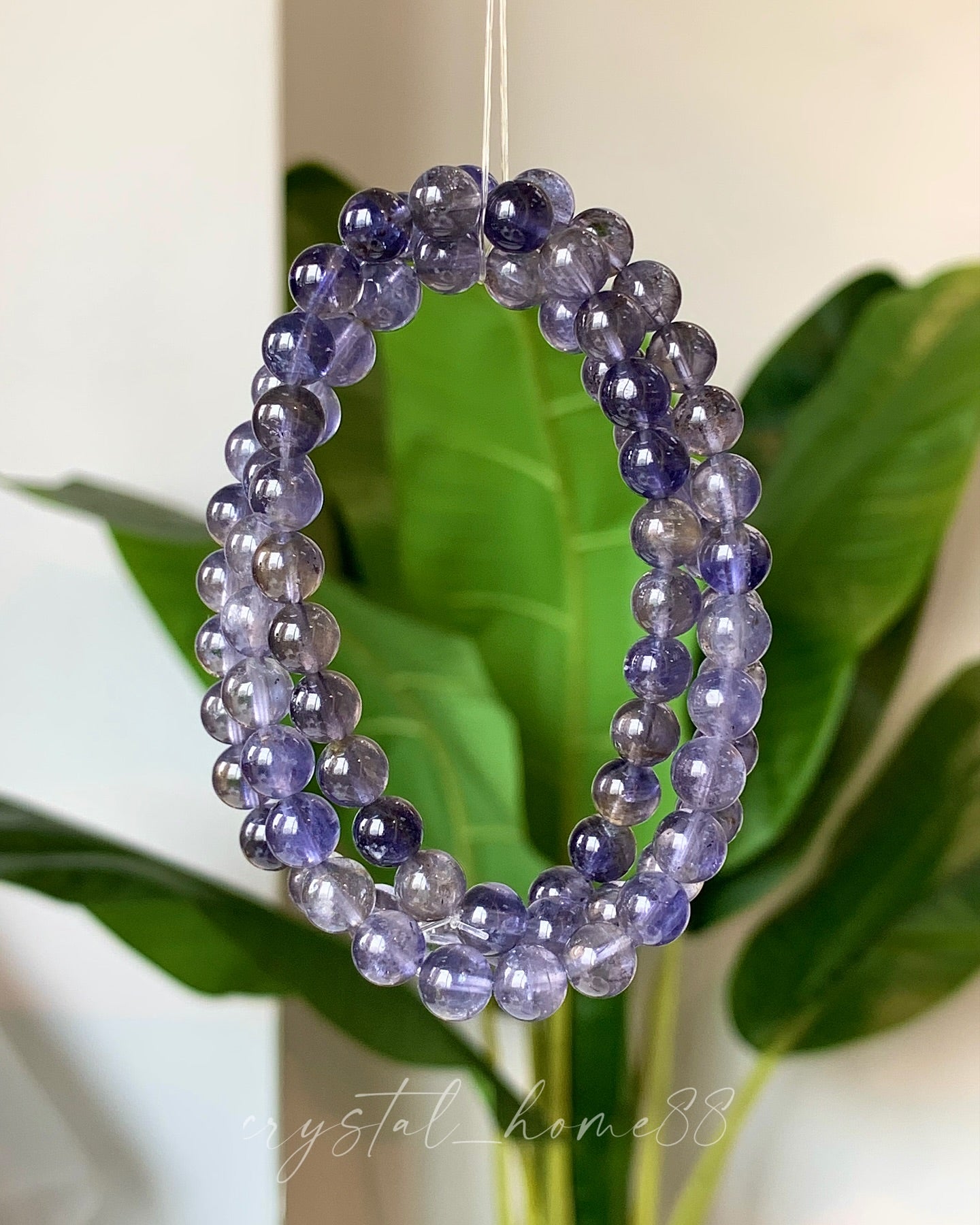 堇青石三圈 Iolite/Cordierite