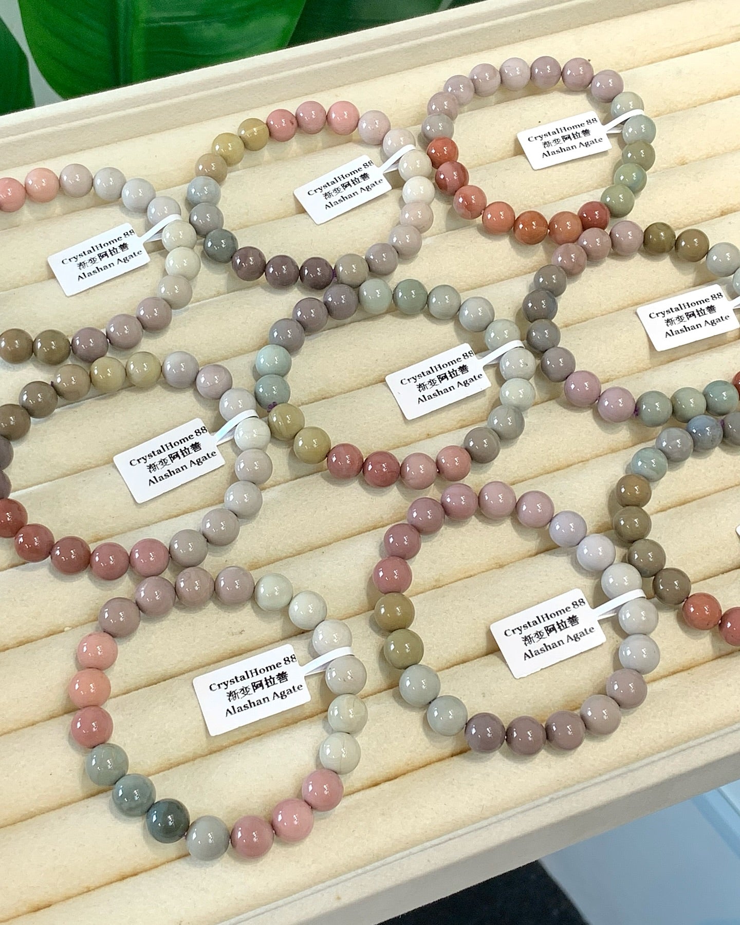 渐变色阿拉善 Alashan Agate