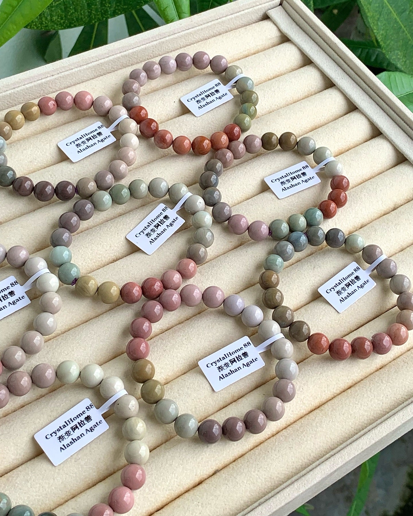 渐变色阿拉善 Alashan Agate