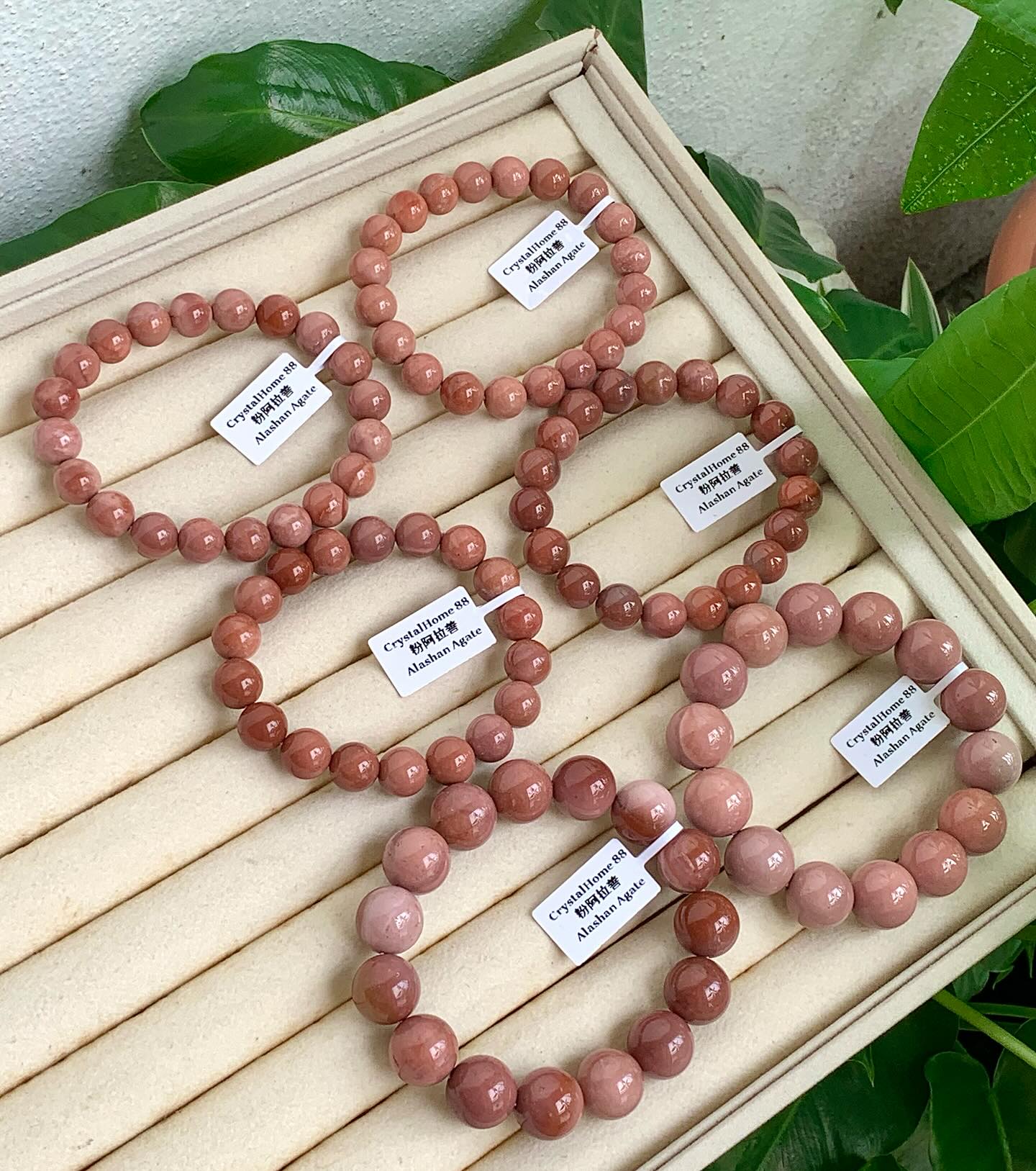 粉阿拉善 Alashan Agate