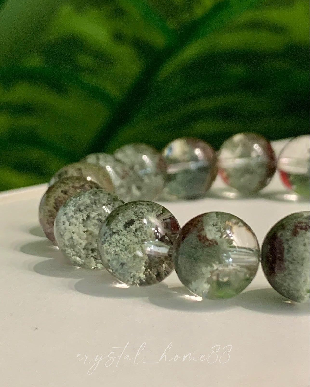 聚宝盆绿幽灵 Green Phantom(G21)