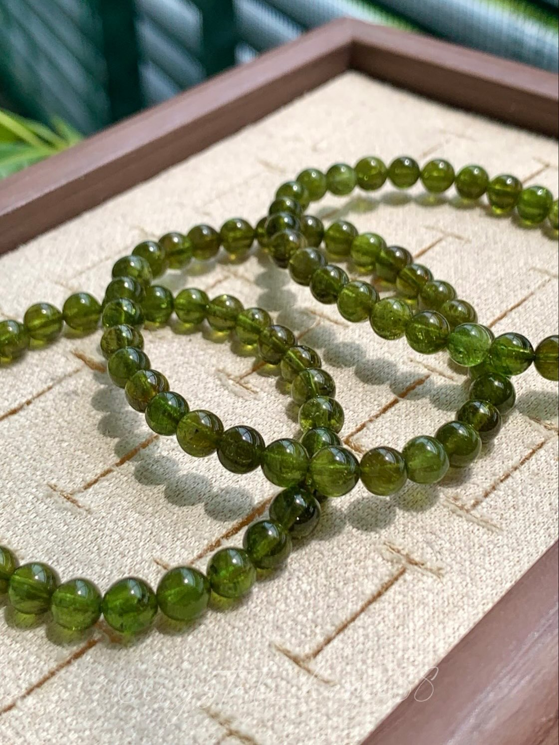 橄榄石 Peridot/Olivine(P62)