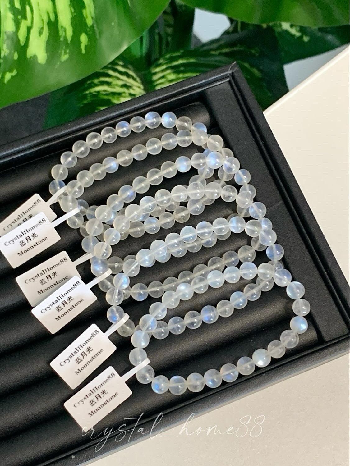 性价比蓝月光 Moonstone