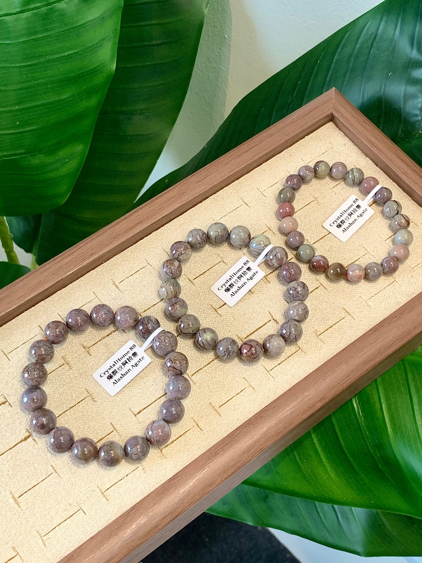 爆裂纹阿拉善 Alashan Agate