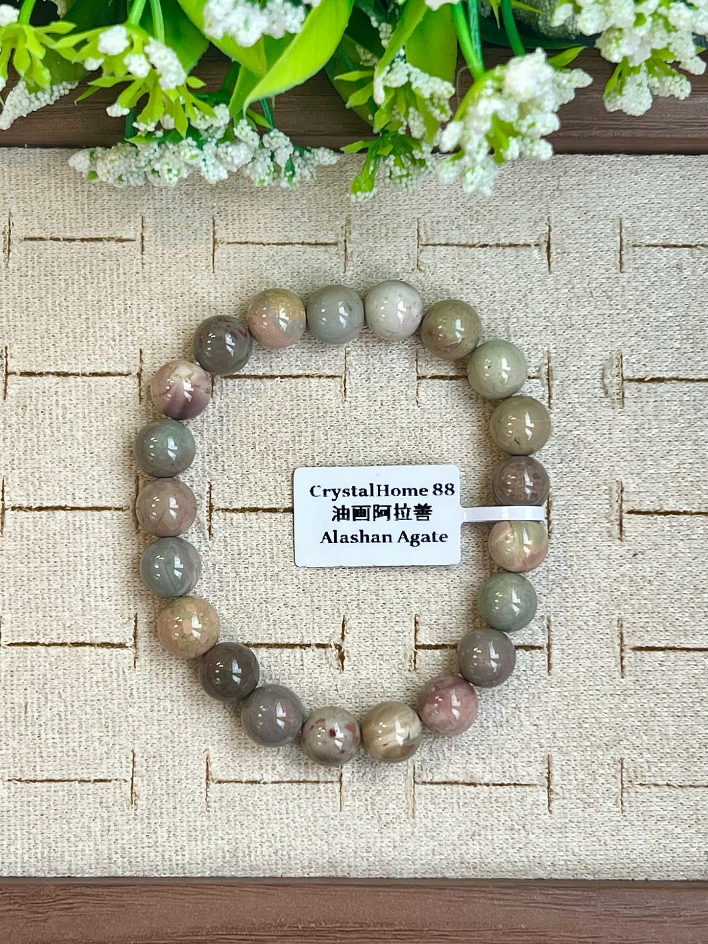 油画阿拉善 Alashan Agate(20-24)