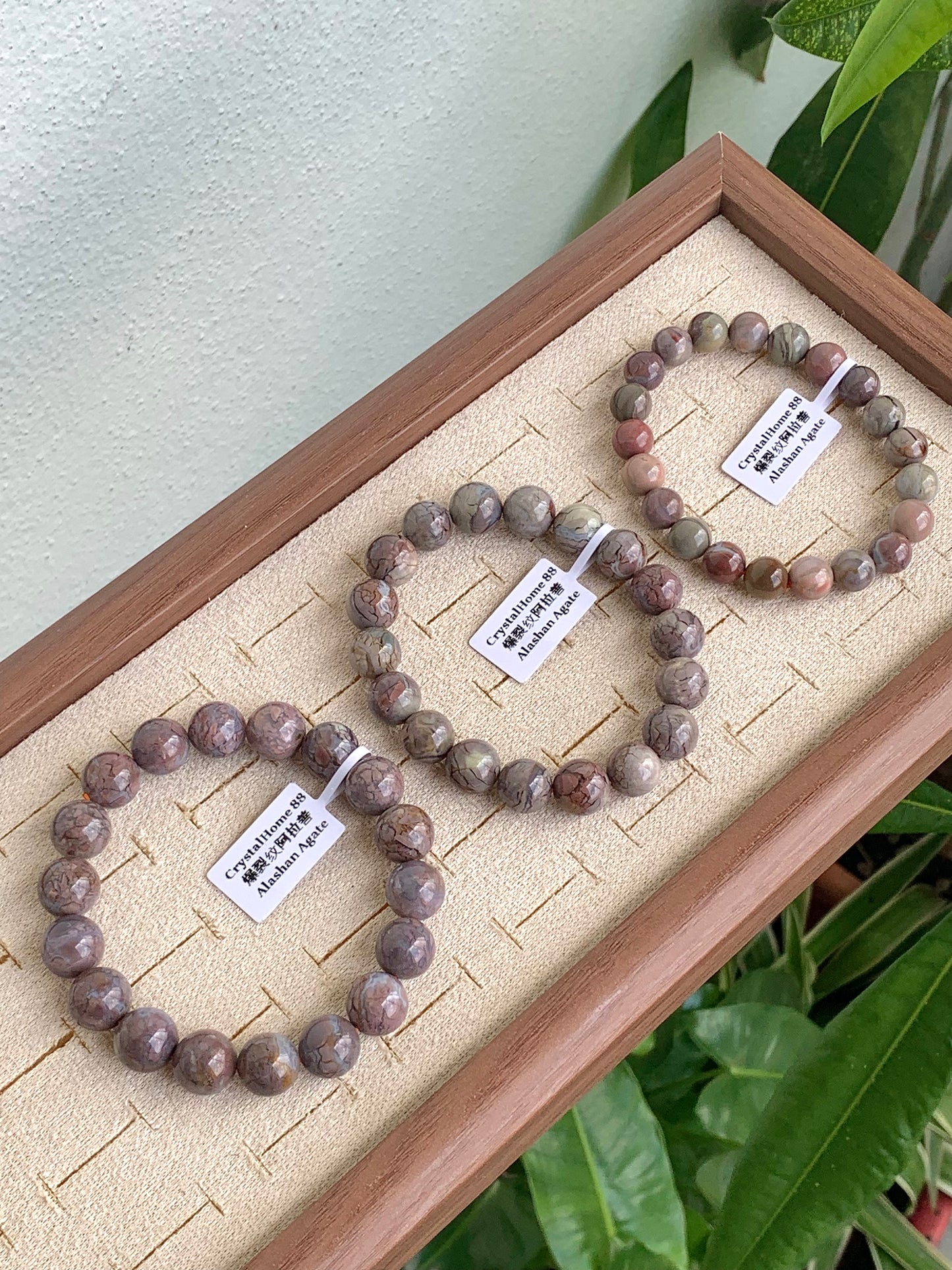 爆裂纹阿拉善 Alashan Agate
