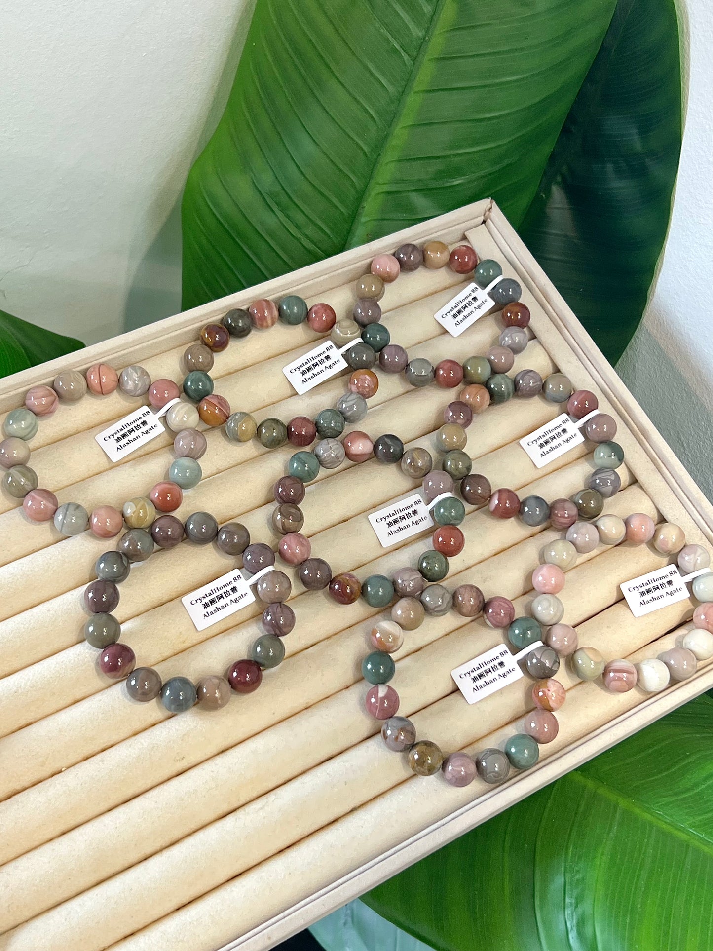油画阿拉善 Alashan Agate(12-19)
