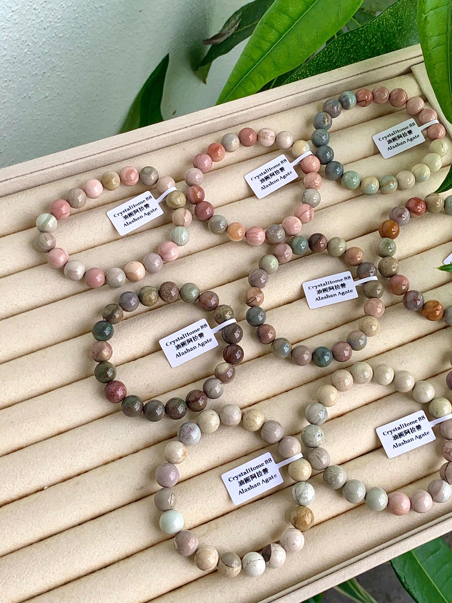 油画阿拉善 Alashan Agate(25-33)