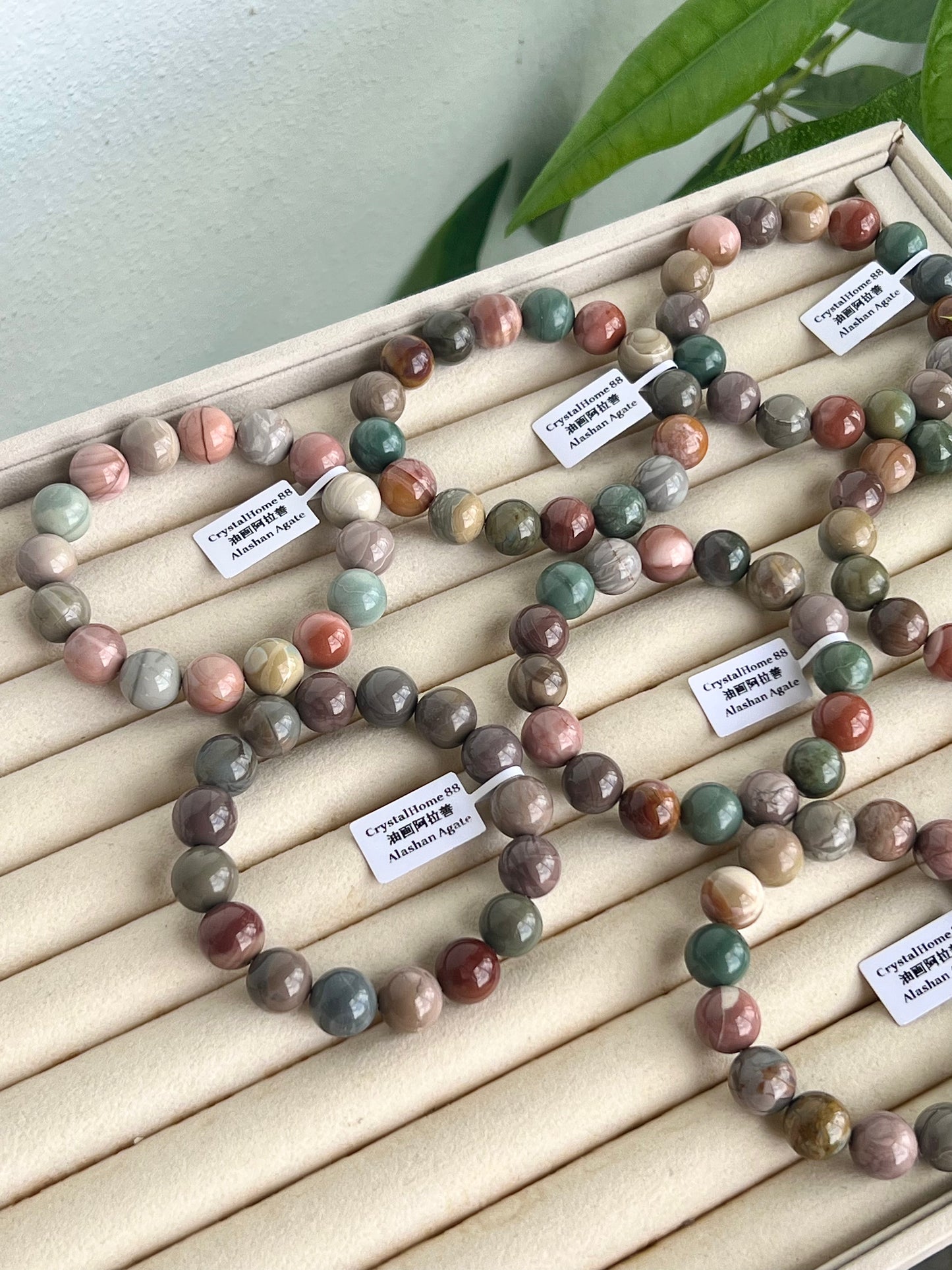 油画阿拉善 Alashan Agate(12-19)