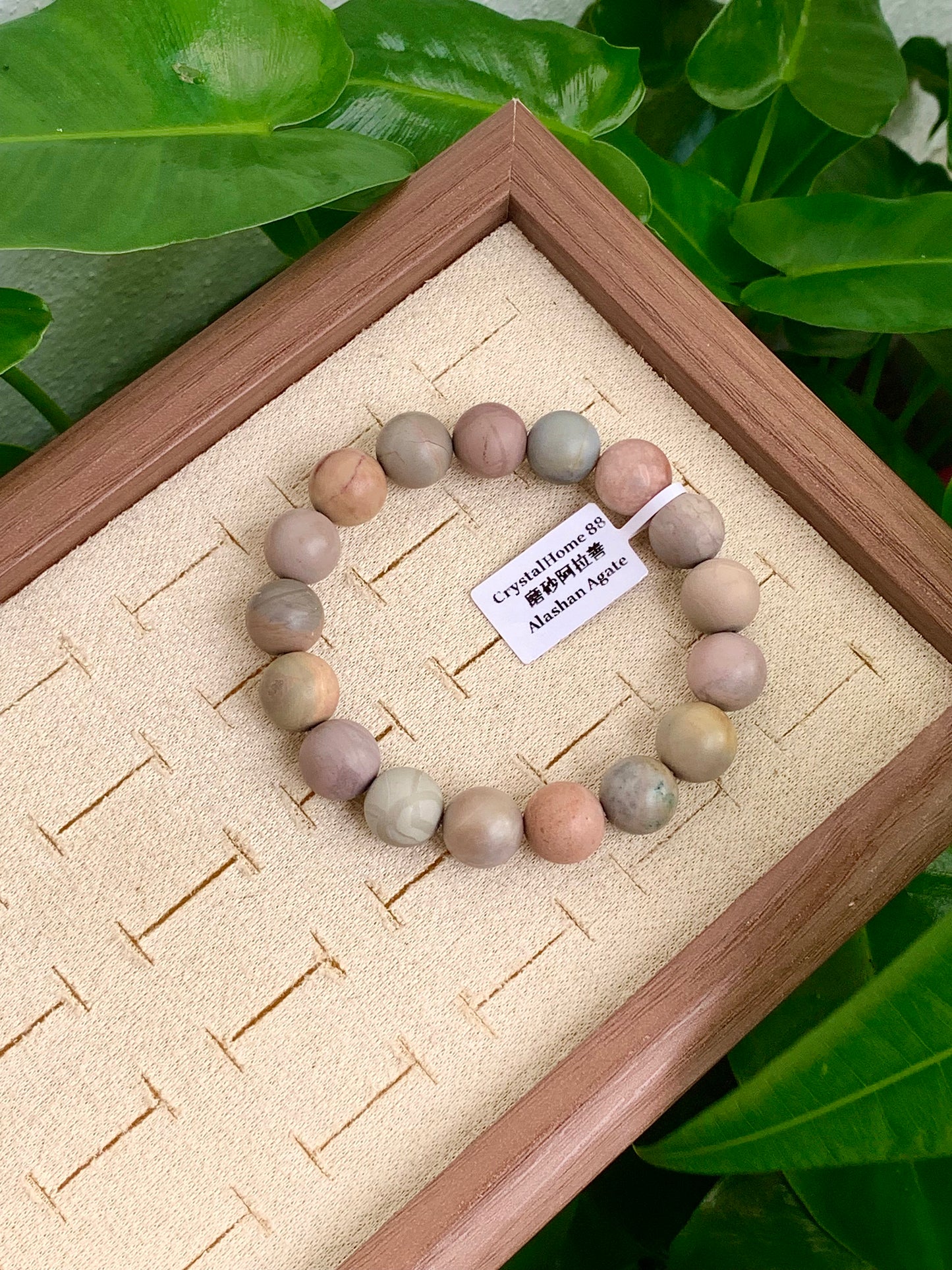 磨砂款 · 阿拉善 Alashan Agate