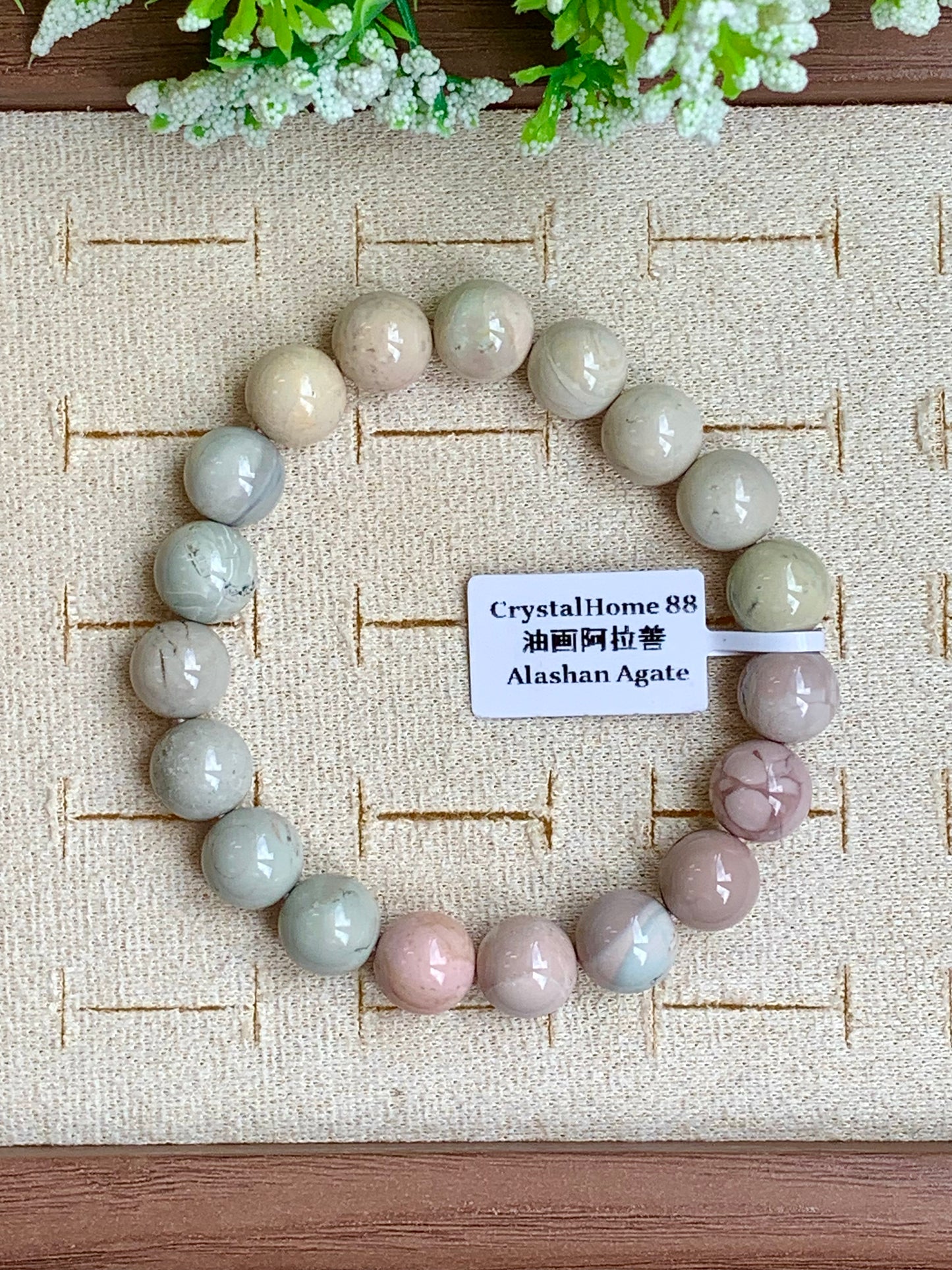 油画阿拉善 Alashan Agate(25-33)