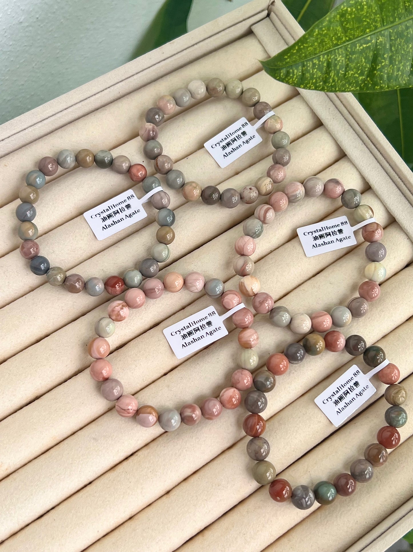油画阿拉善 Alashan Agate(20-24)