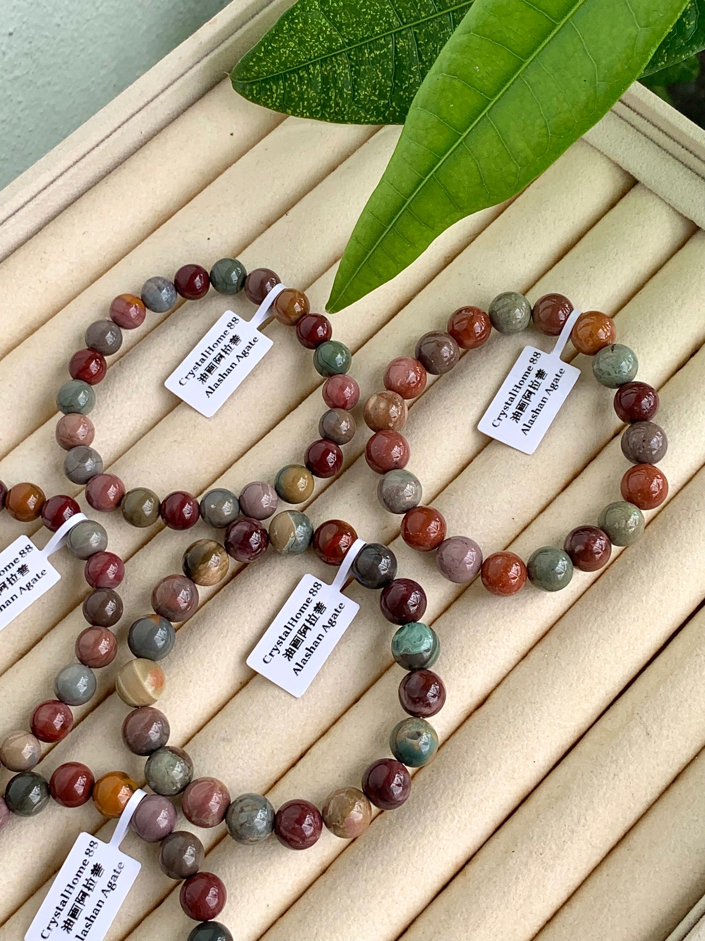 油画阿拉善 Alashan Agate(1-5)