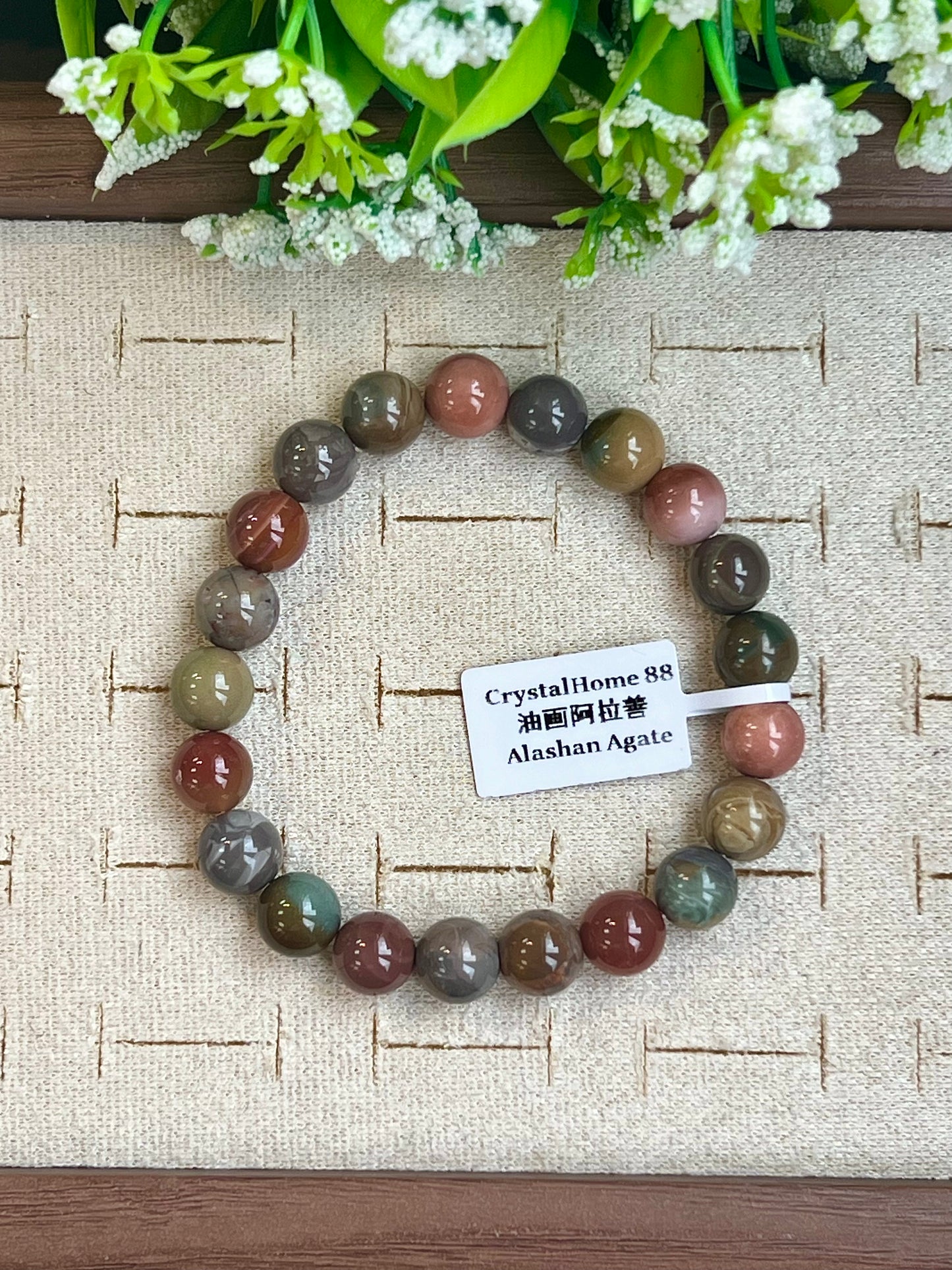 油画阿拉善 Alashan Agate(20-24)
