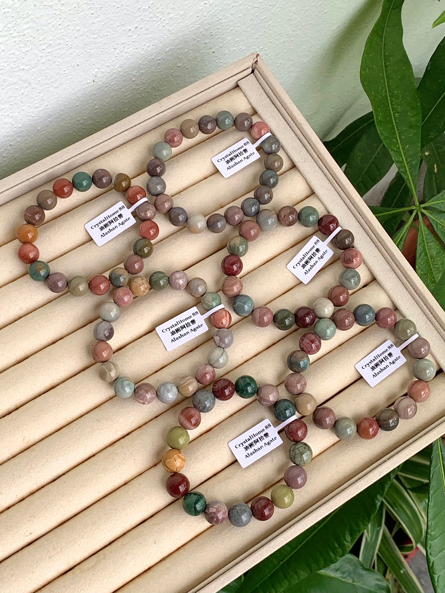 油画阿拉善 Alashan Agate(6-11)