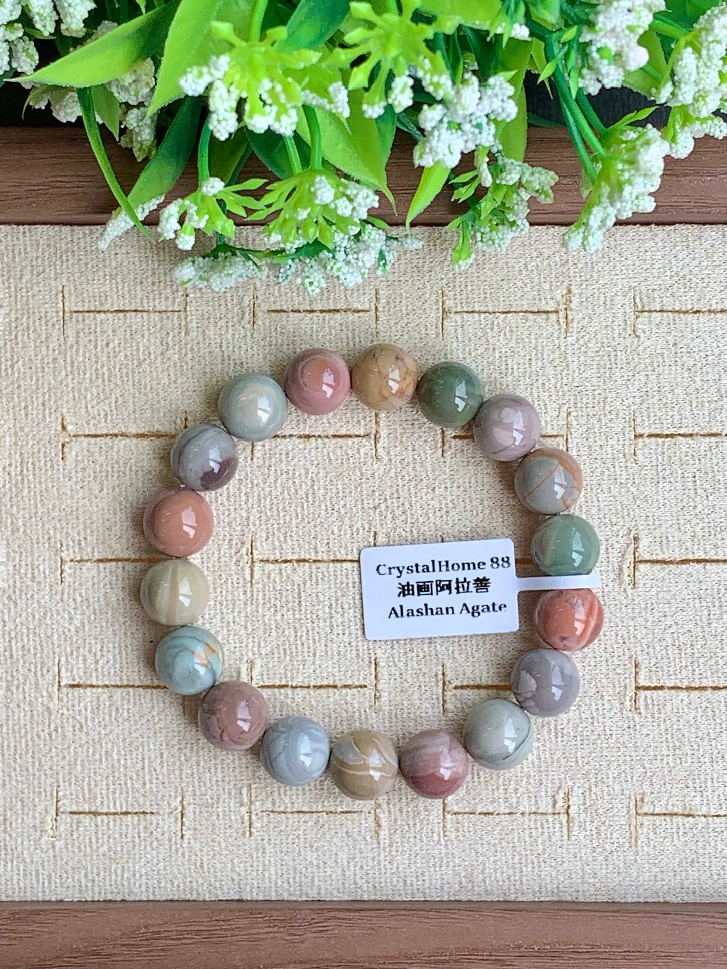 油画阿拉善 Alashan Agate(6-11)
