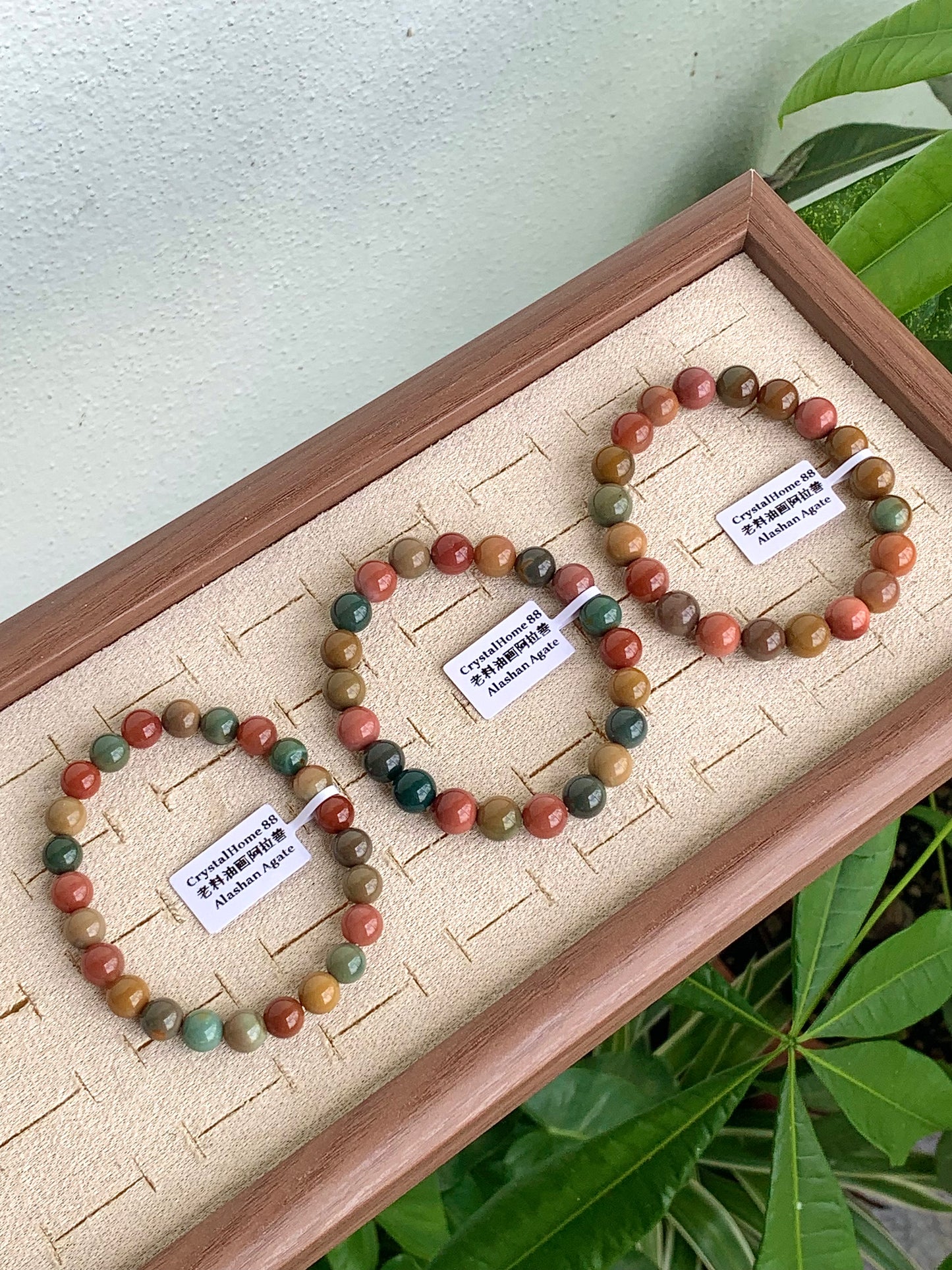老料油画阿拉善 Alashan Agate