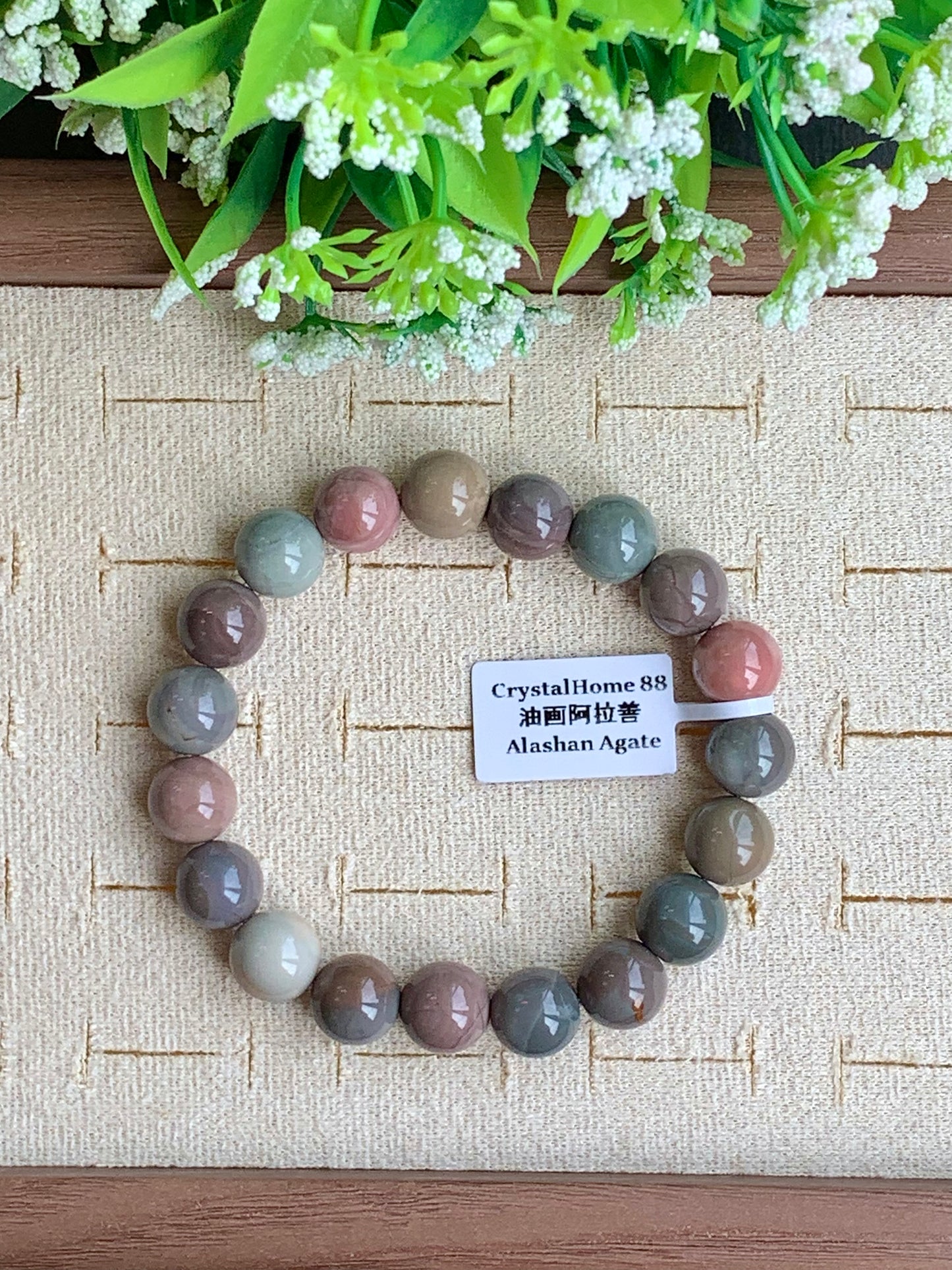 油画阿拉善 Alashan Agate(6-11)