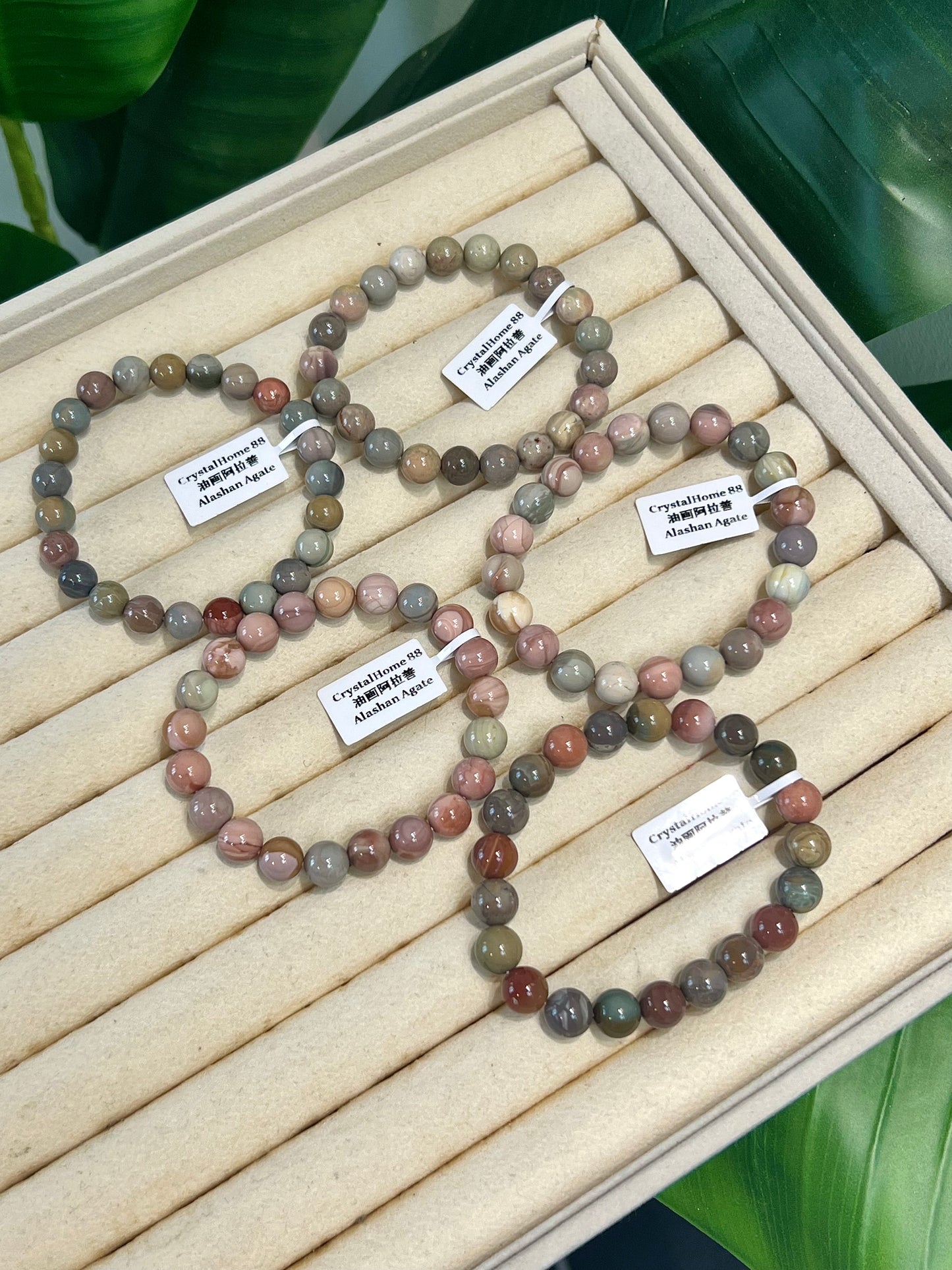油画阿拉善 Alashan Agate(20-24)