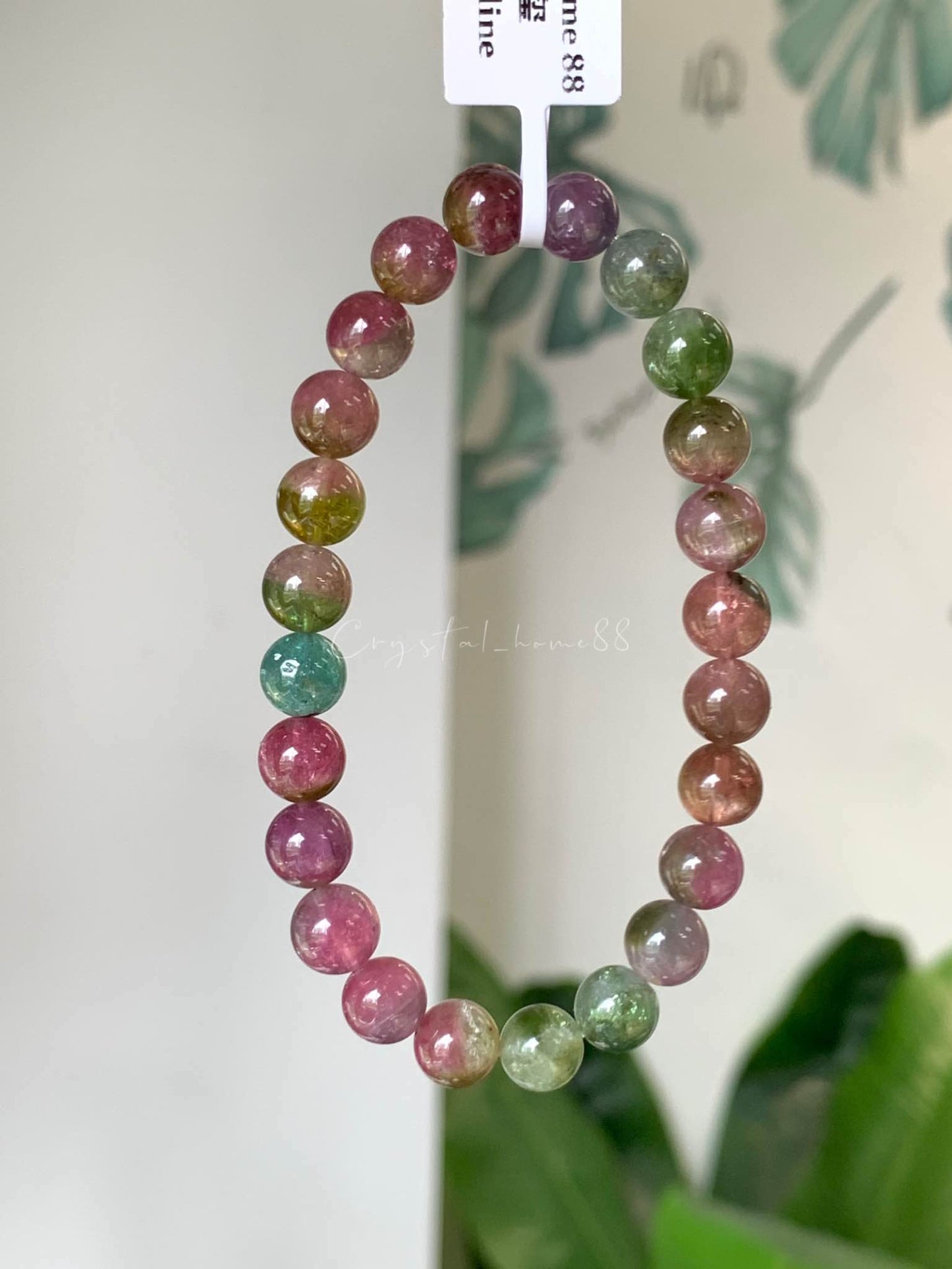 西瓜碧玺 Tourmaline（T18）