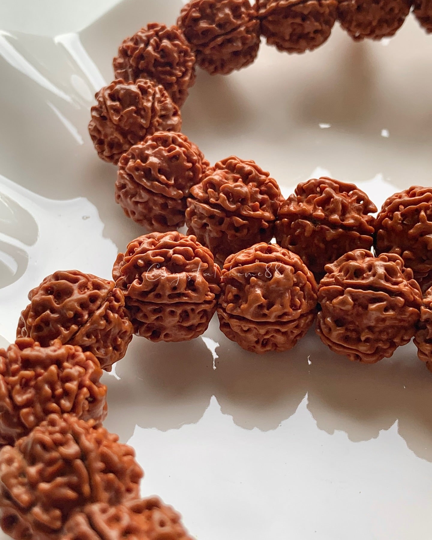 金刚菩提 Rudraksha