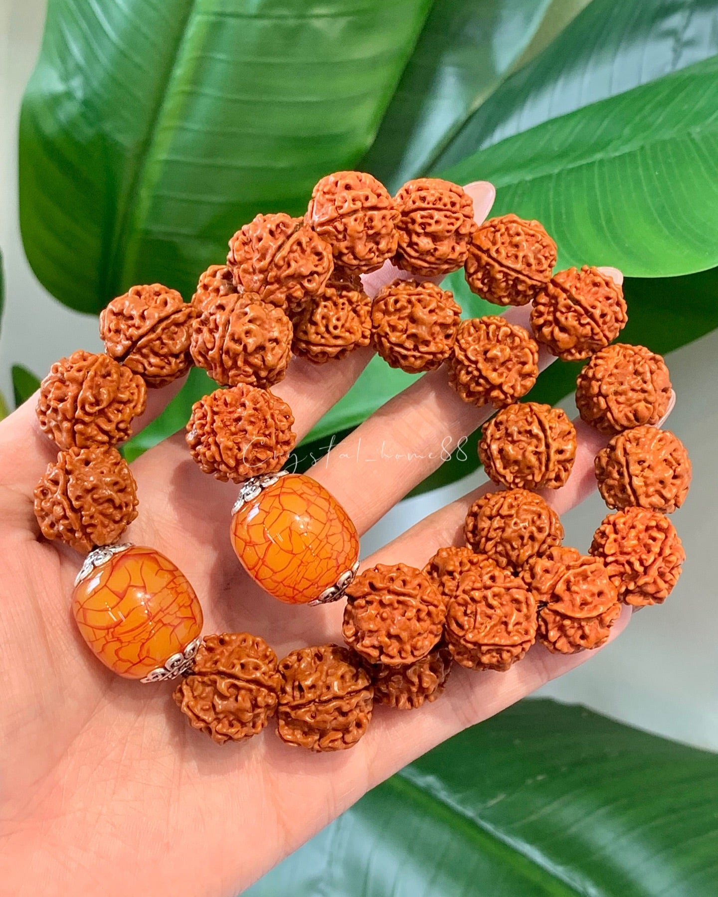 金刚菩提 Rudraksha