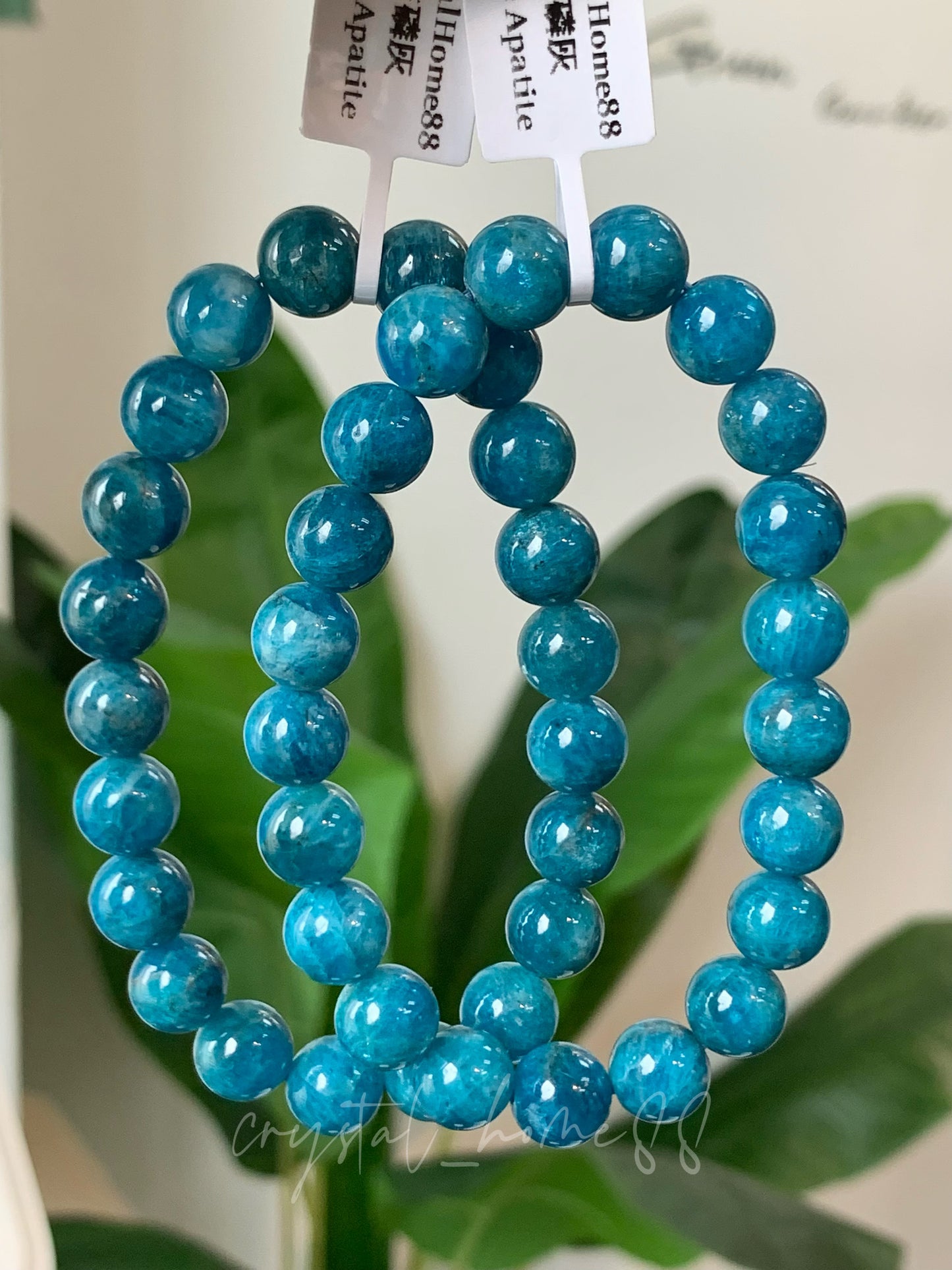 蓝磷灰 Blue Apatite