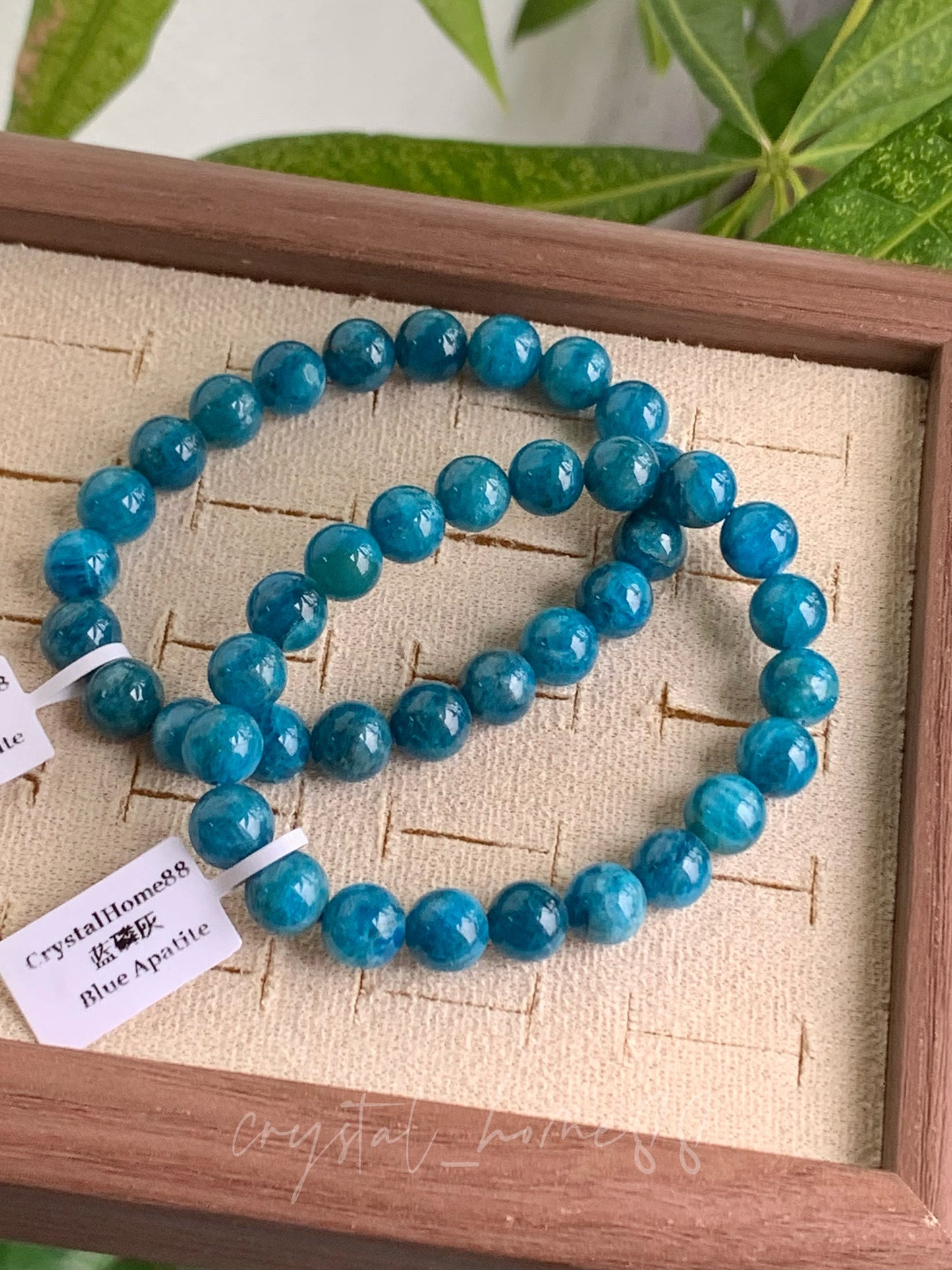 蓝磷灰 Blue Apatite