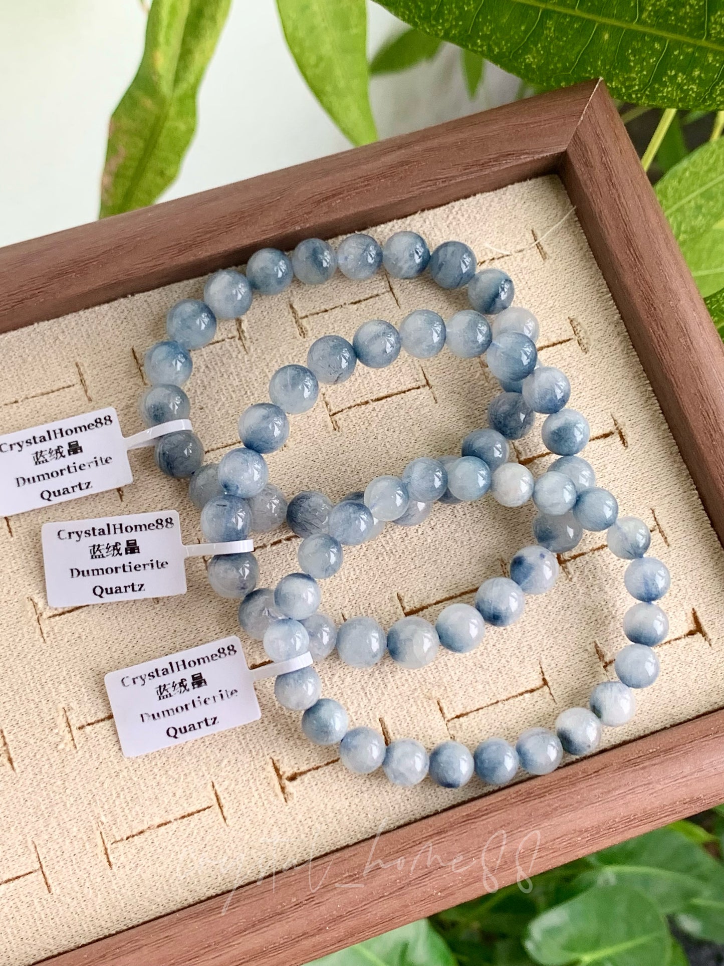 蓝绒晶 Blue Dumortierite Quartz