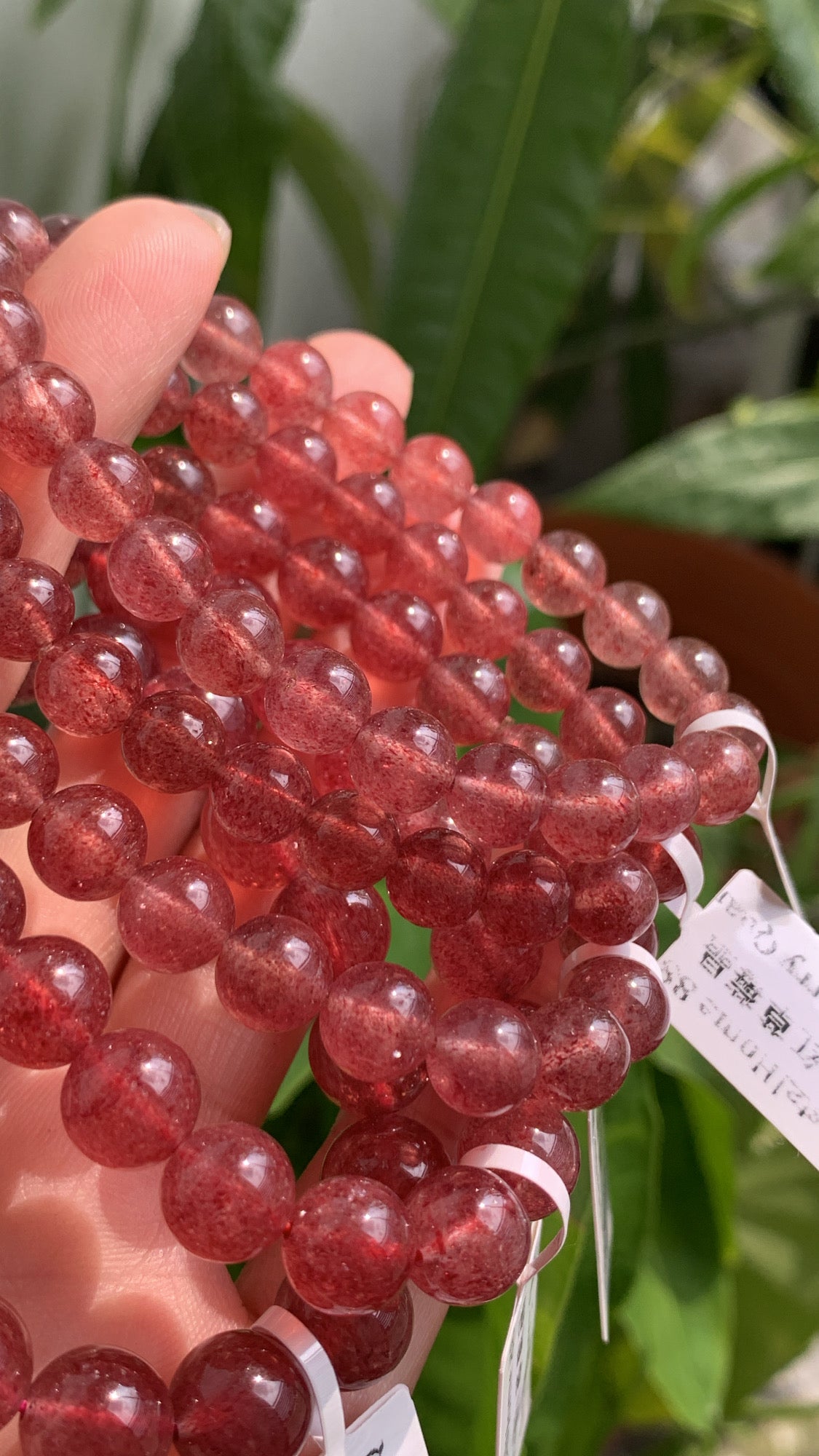 鸽血红草莓晶 Strawberry Quartz（S25）